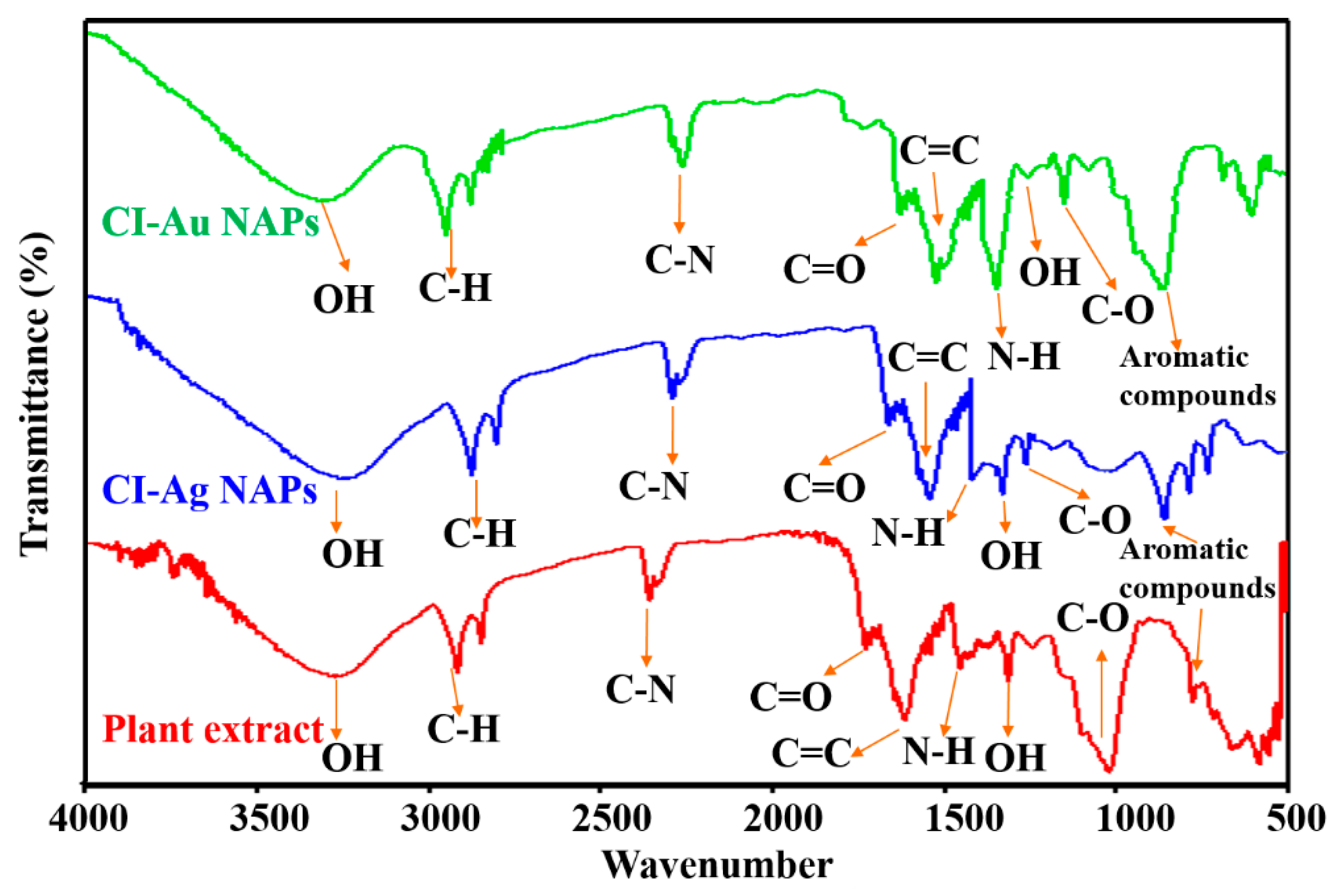 Biomolecules 10 00835 g005 Biomolecules 10 00835 g005