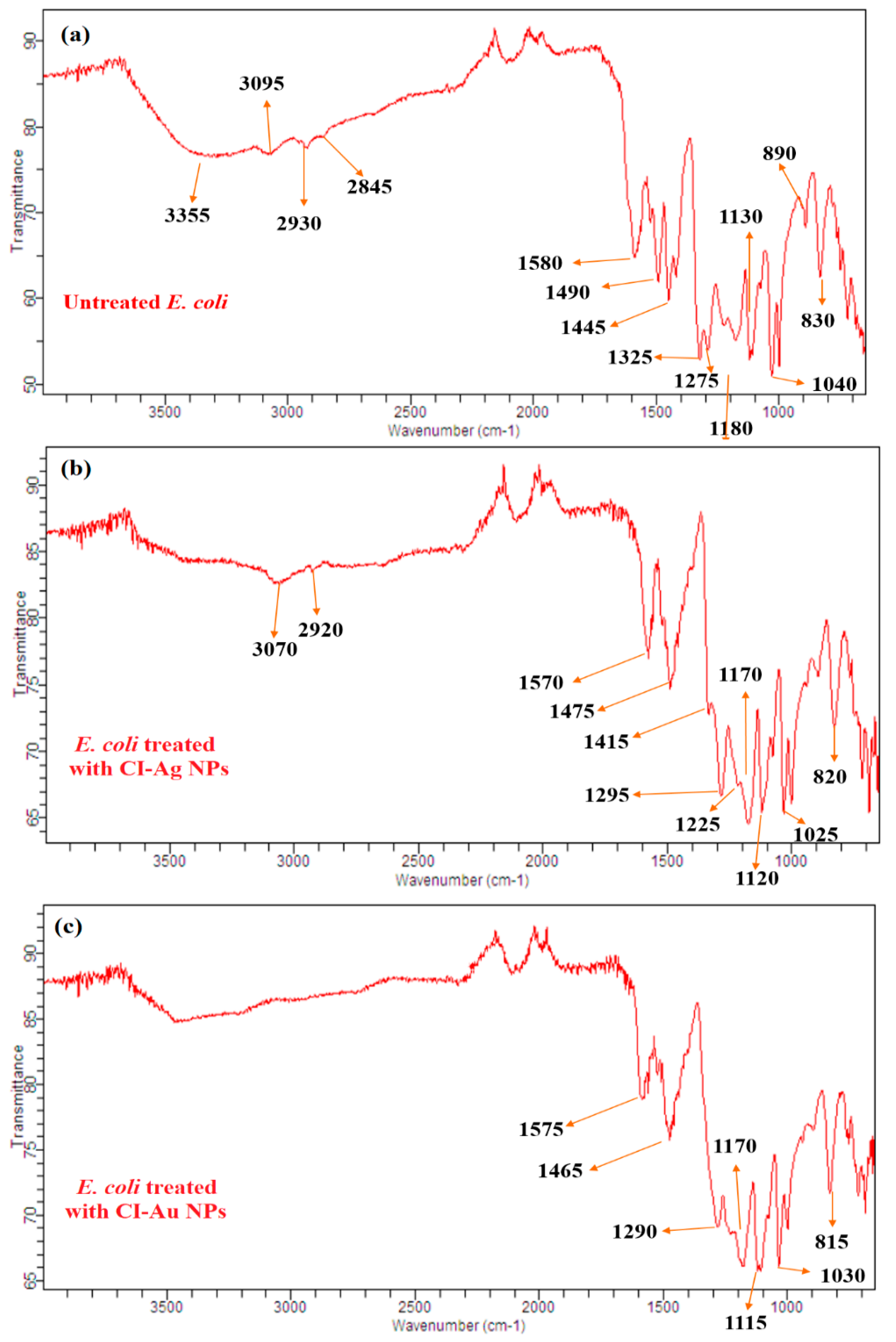 Biomolecules 10 00835 g011 Biomolecules 10 00835 g011