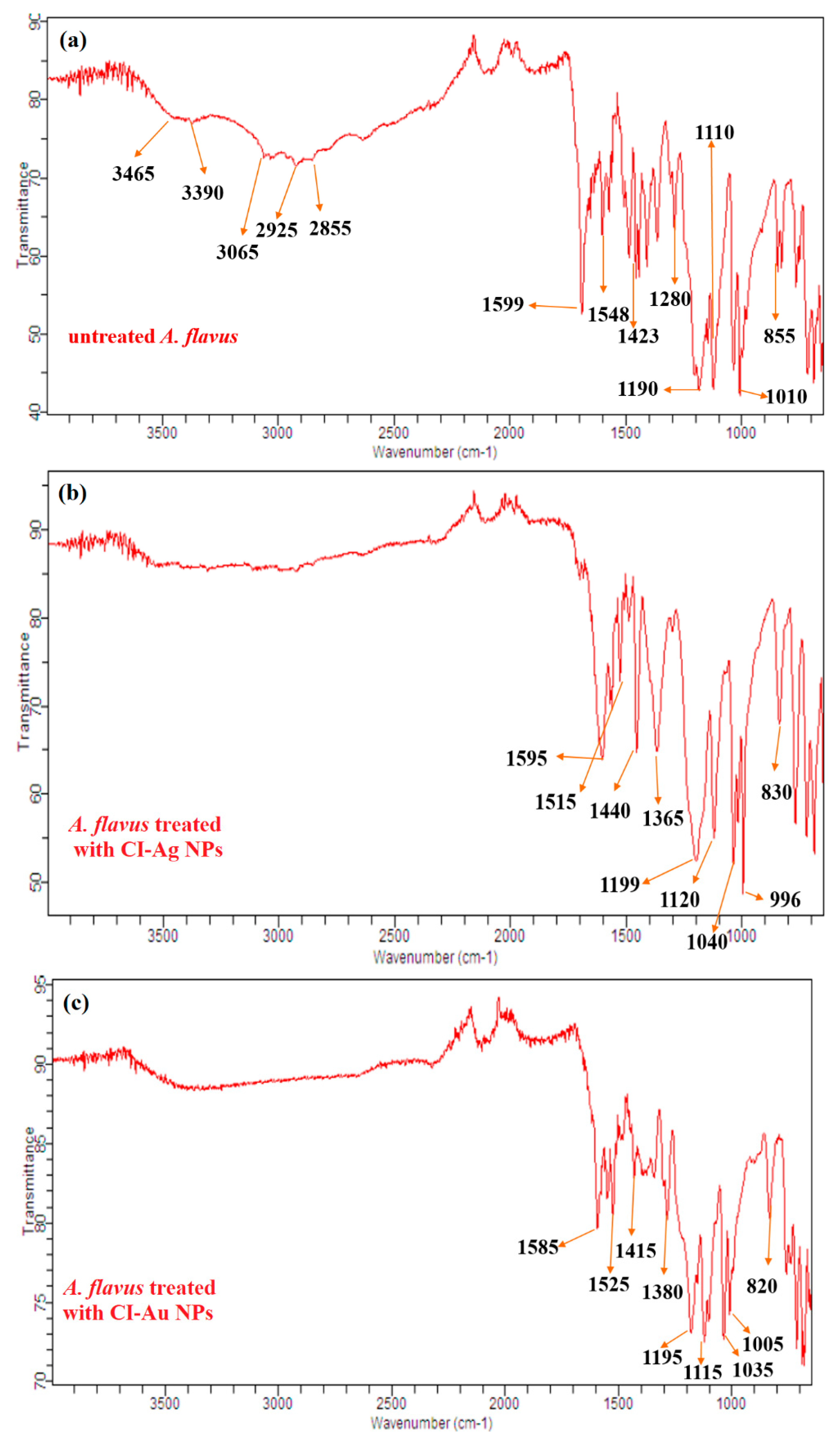 Biomolecules 10 00835 g012 Biomolecules 10 00835 g012