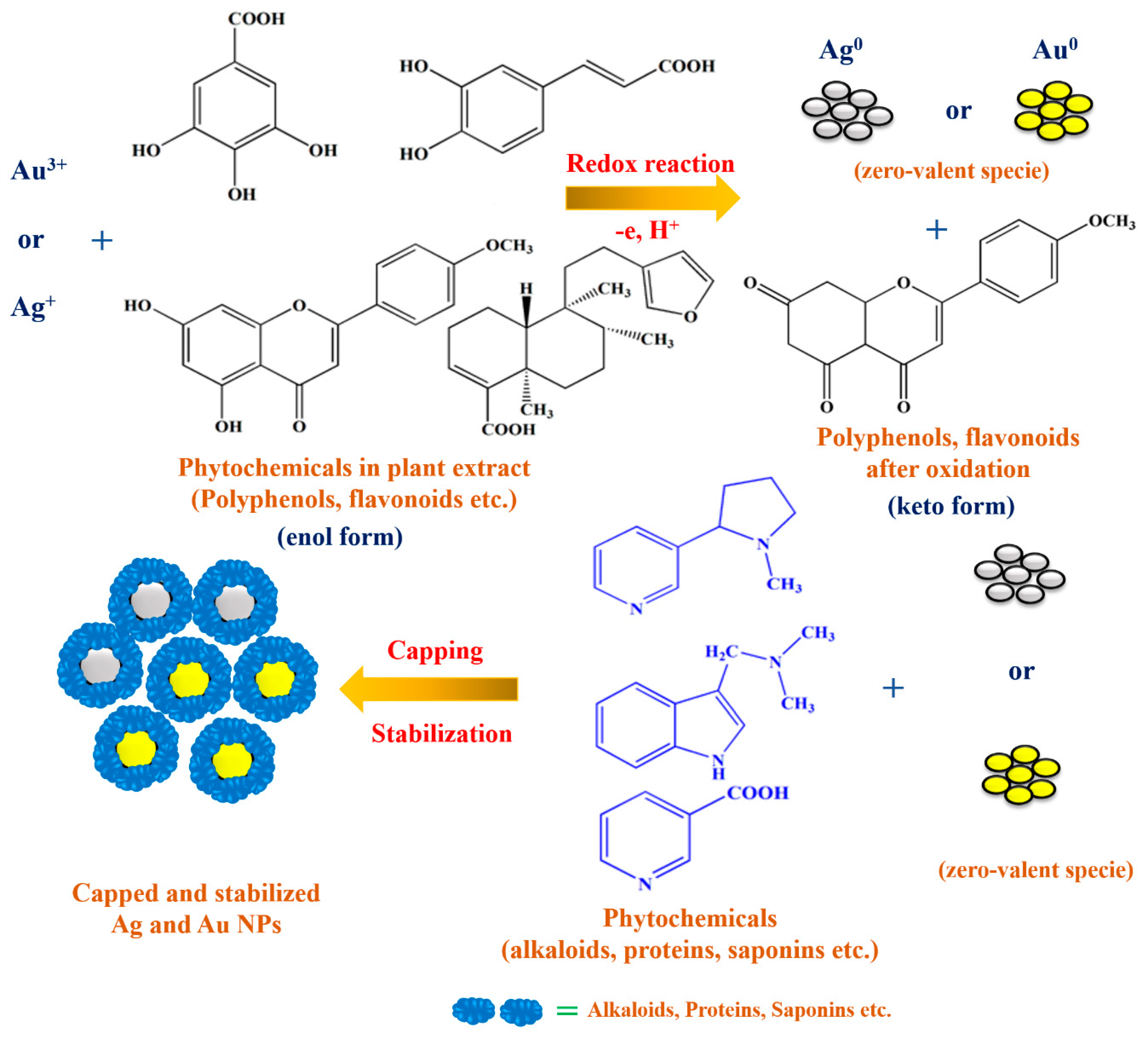 Biomolecules 10 00835 g015 Biomolecules 10 00835 g015