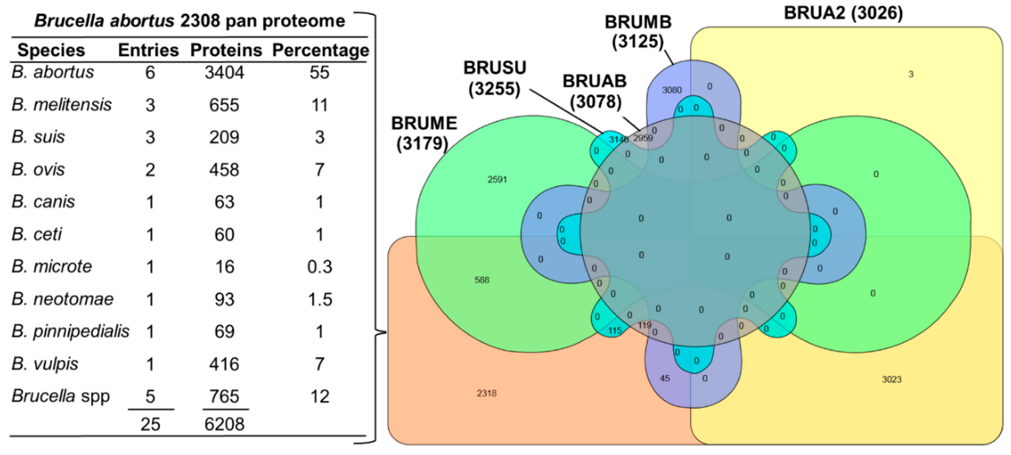 Biomolecules 10 00836 g002 Biomolecules 10 00836 g002