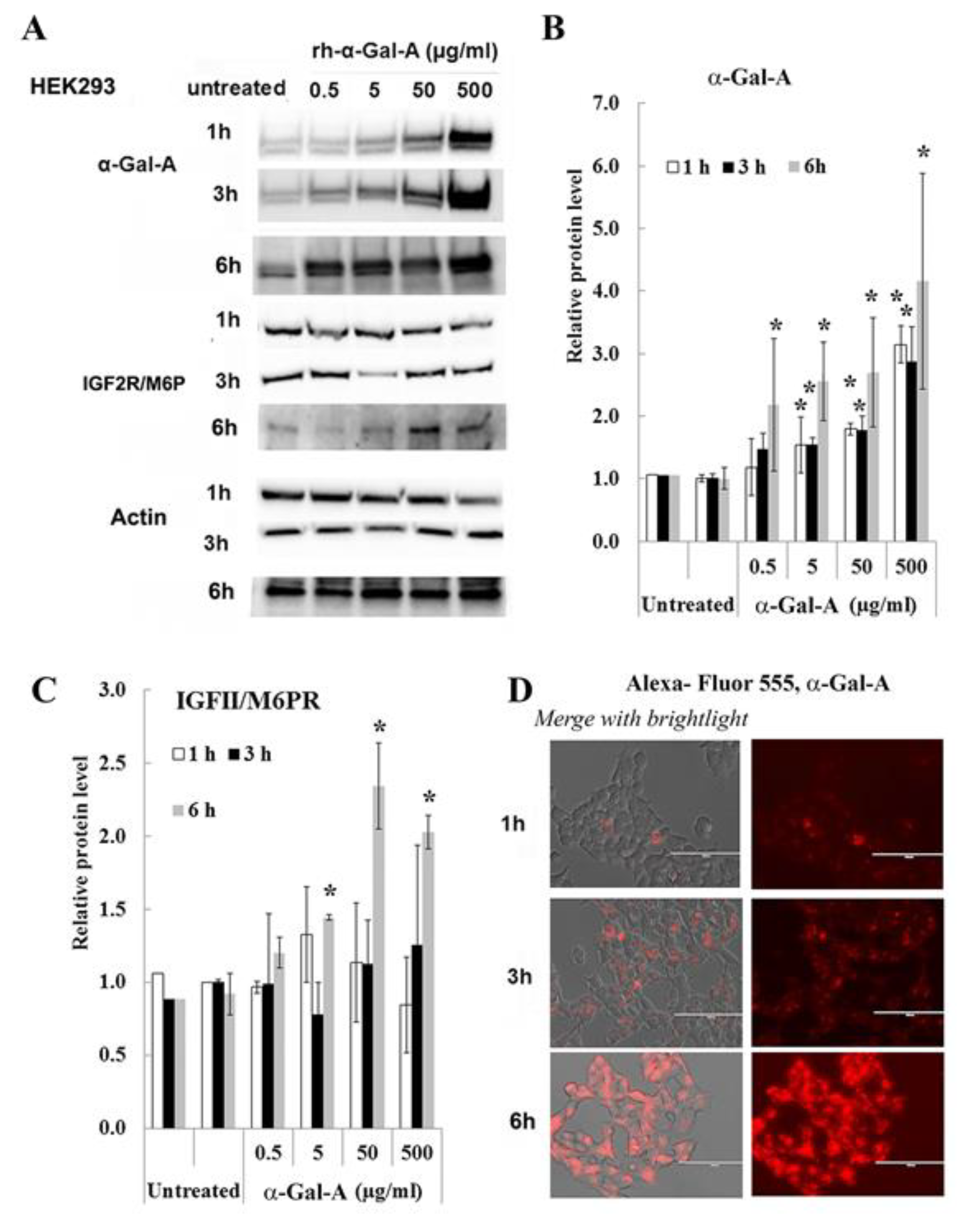 Biomolecules 10 00837 g003