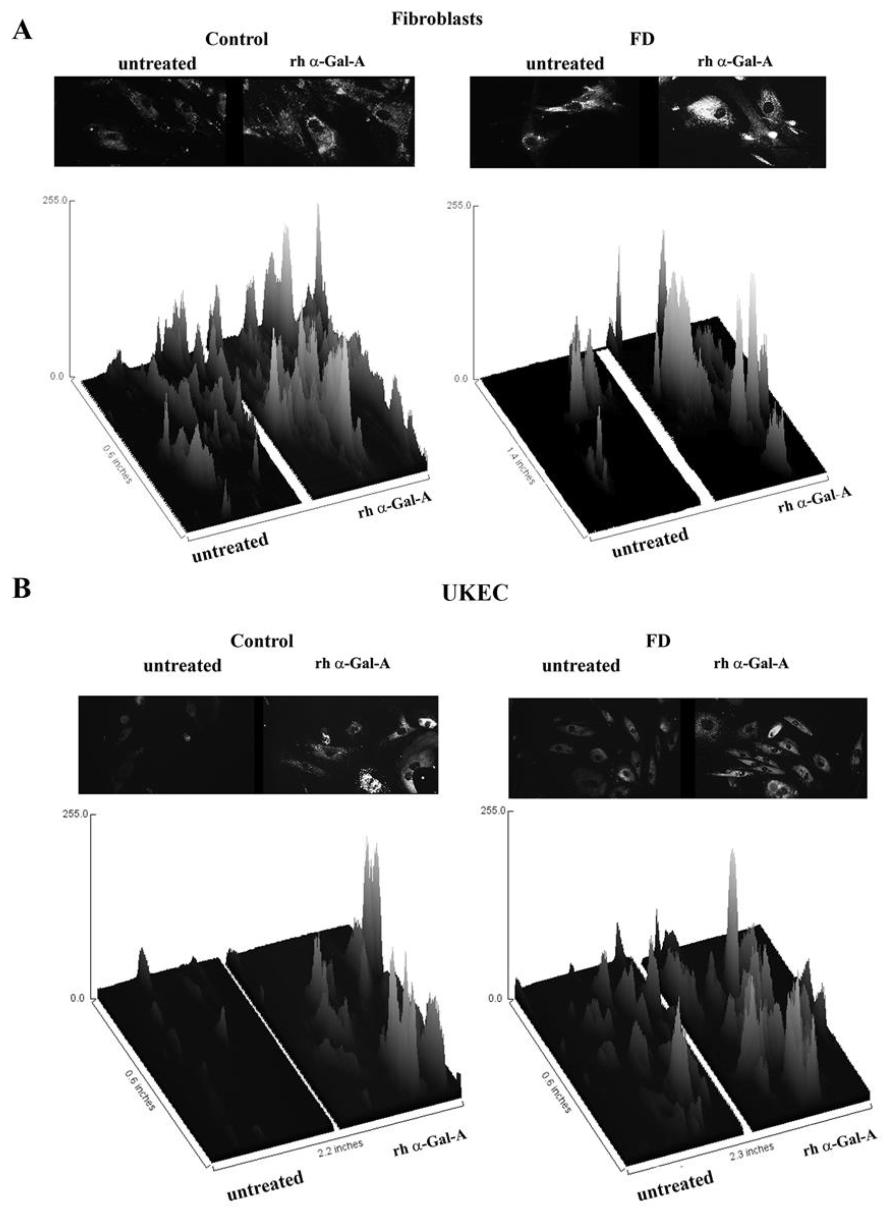 Biomolecules 10 00837 g008