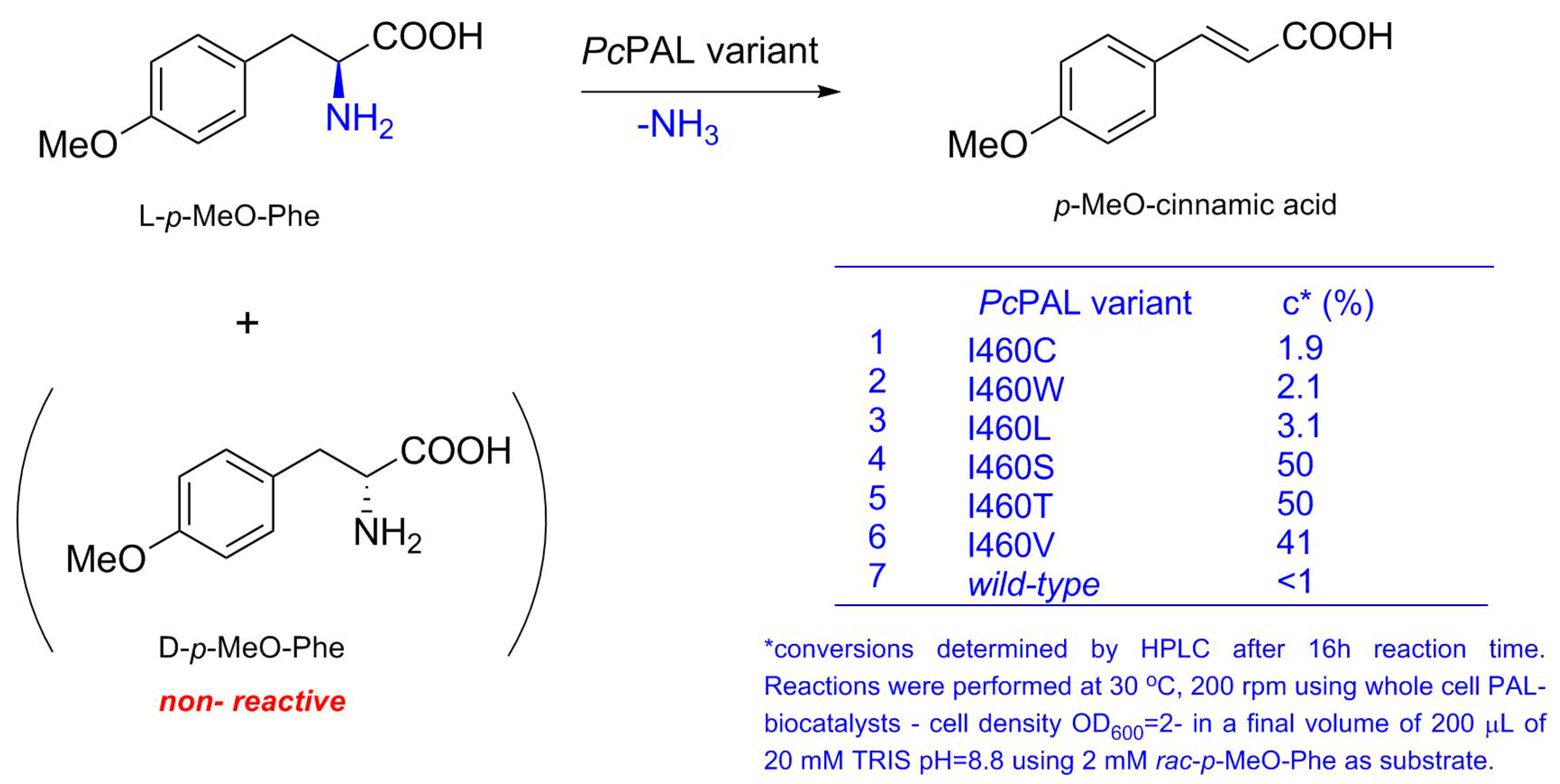 Biomolecules 10 00838 g004 Biomolecules 10 00838 g004