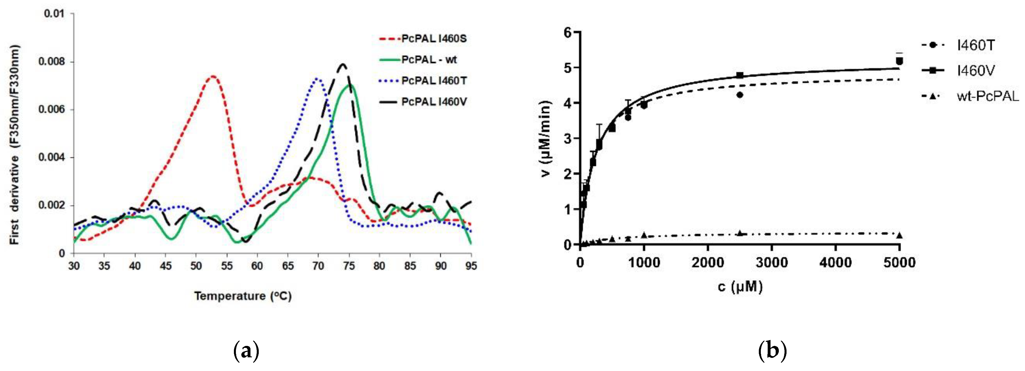 Biomolecules 10 00838 g005 Biomolecules 10 00838 g005