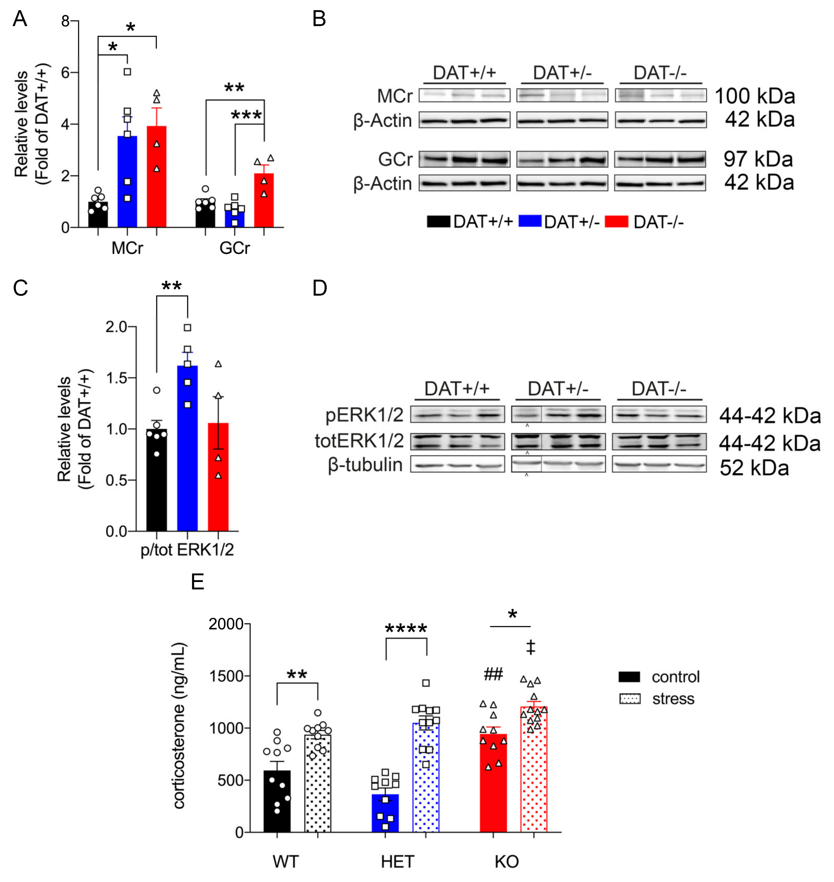 Biomolecules 10 00842 g003 Biomolecules 10 00842 g003