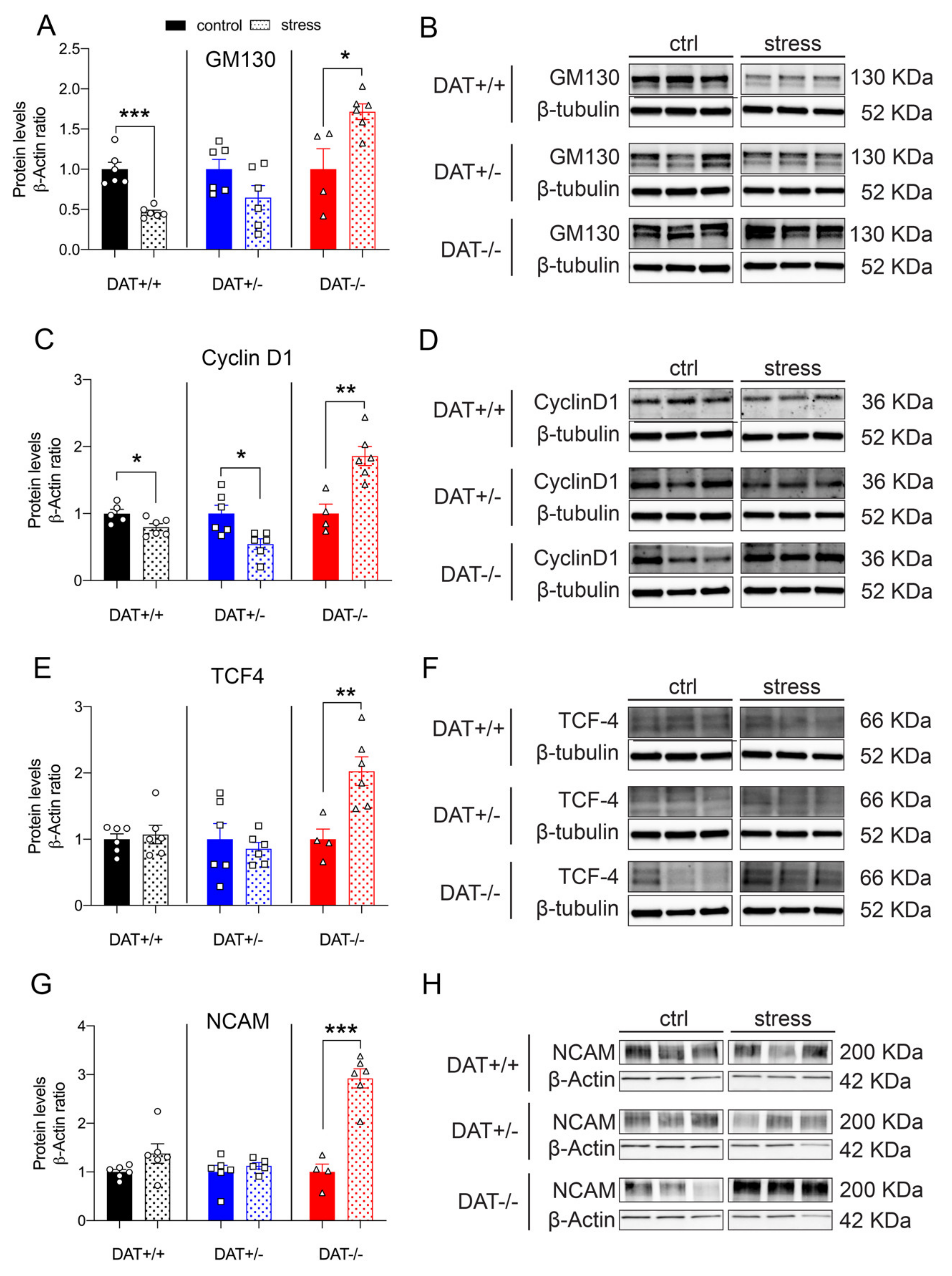 Biomolecules 10 00842 g006 Biomolecules 10 00842 g006