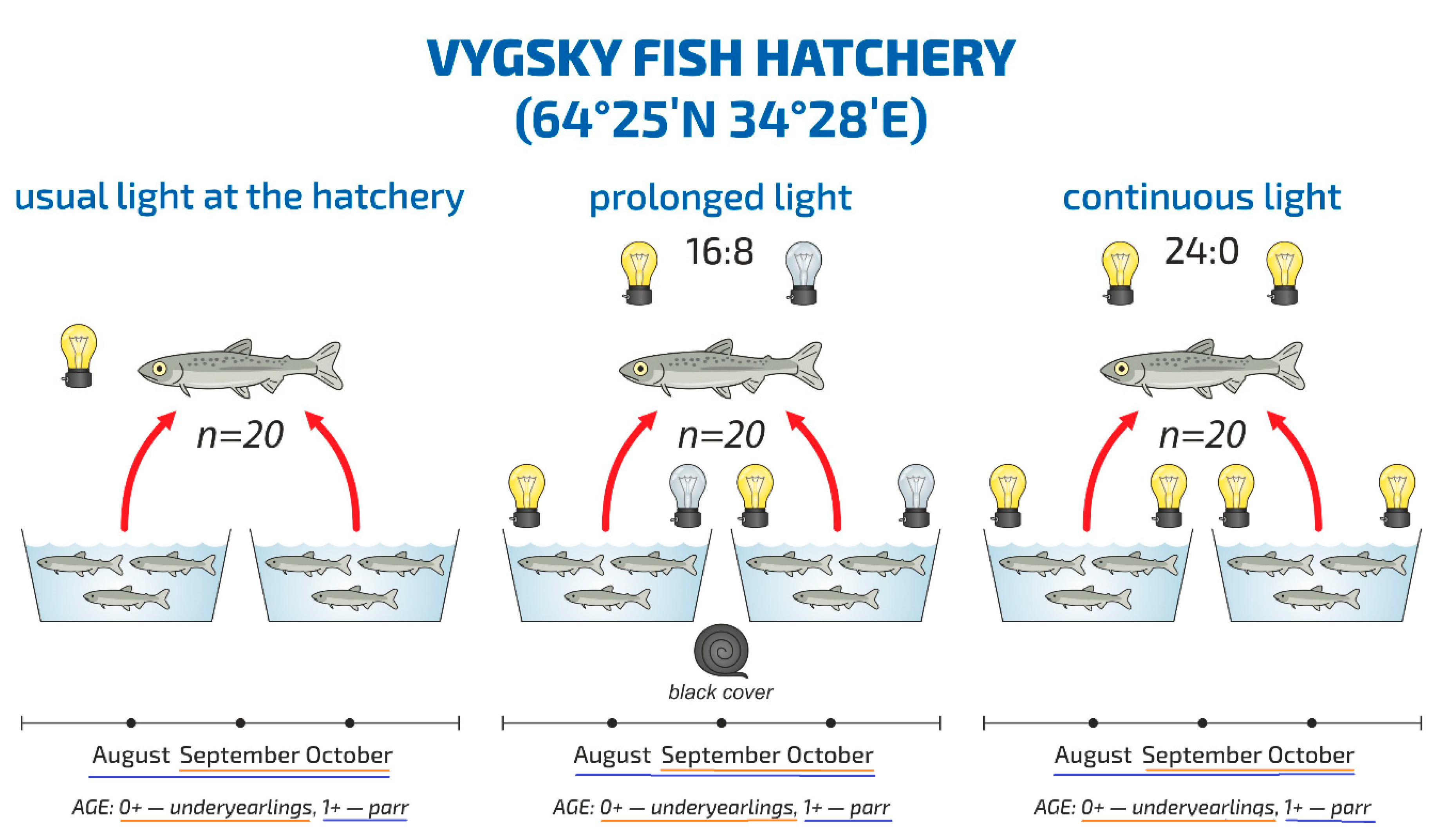 Biomolecules 10 00845 g001 Biomolecules 10 00845 g001