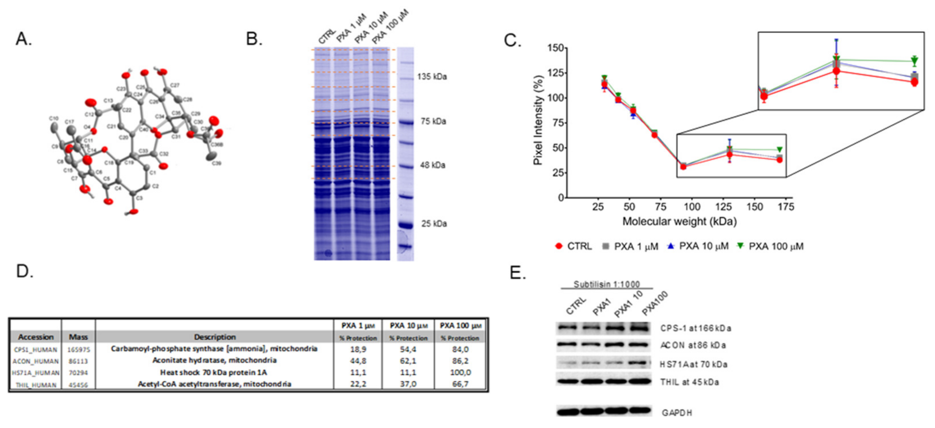 Biomolecules 10 00846 g001 Biomolecules 10 00846 g001