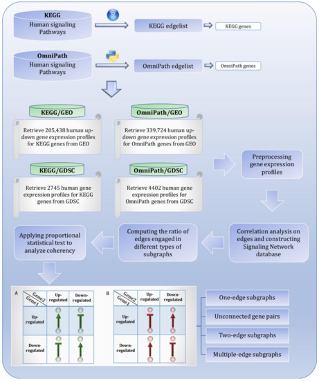 Can We Assume the Gene Expression Profile as a Proxy for Signaling ...