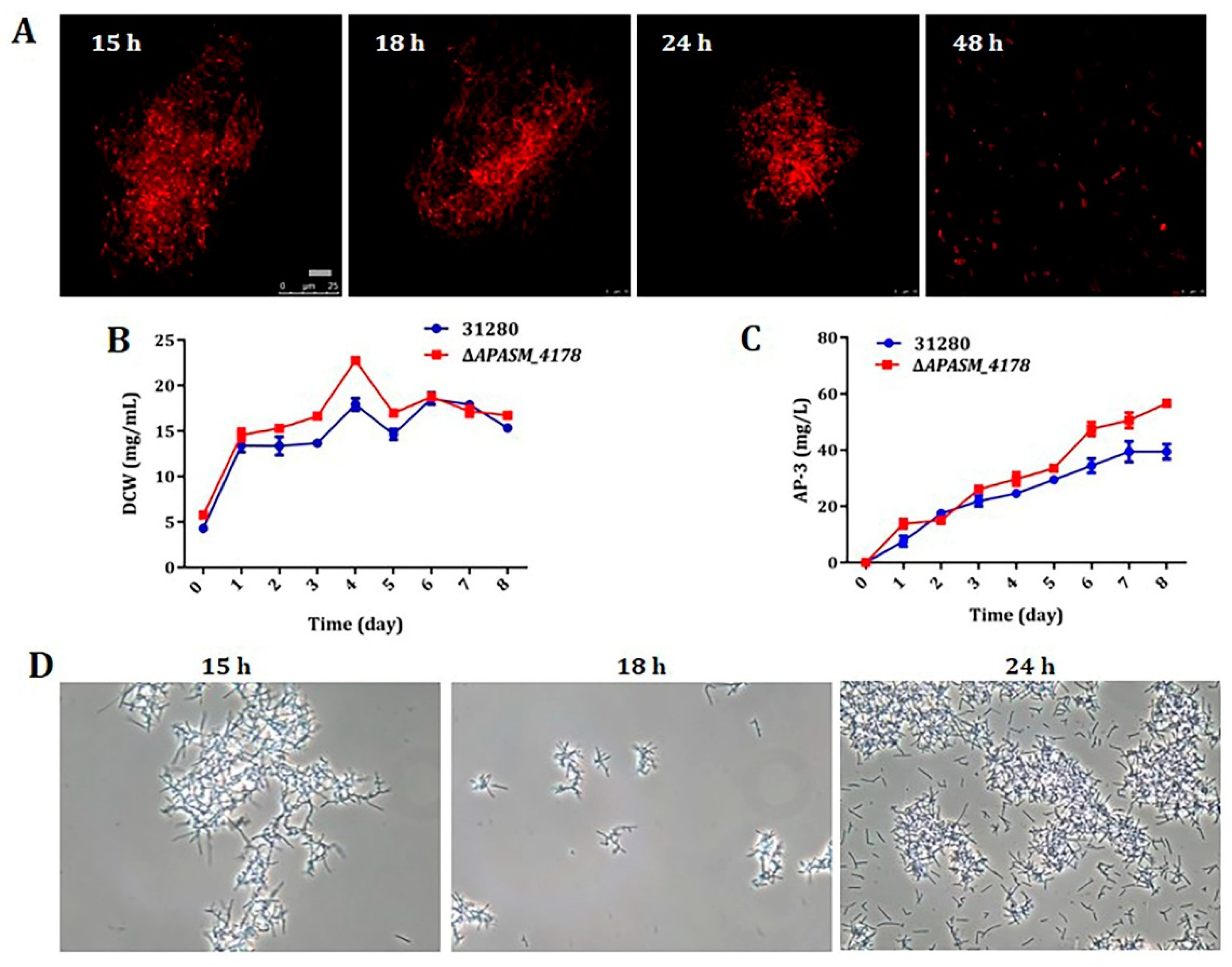 Biomolecules 10 00851 g002 Biomolecules 10 00851 g002