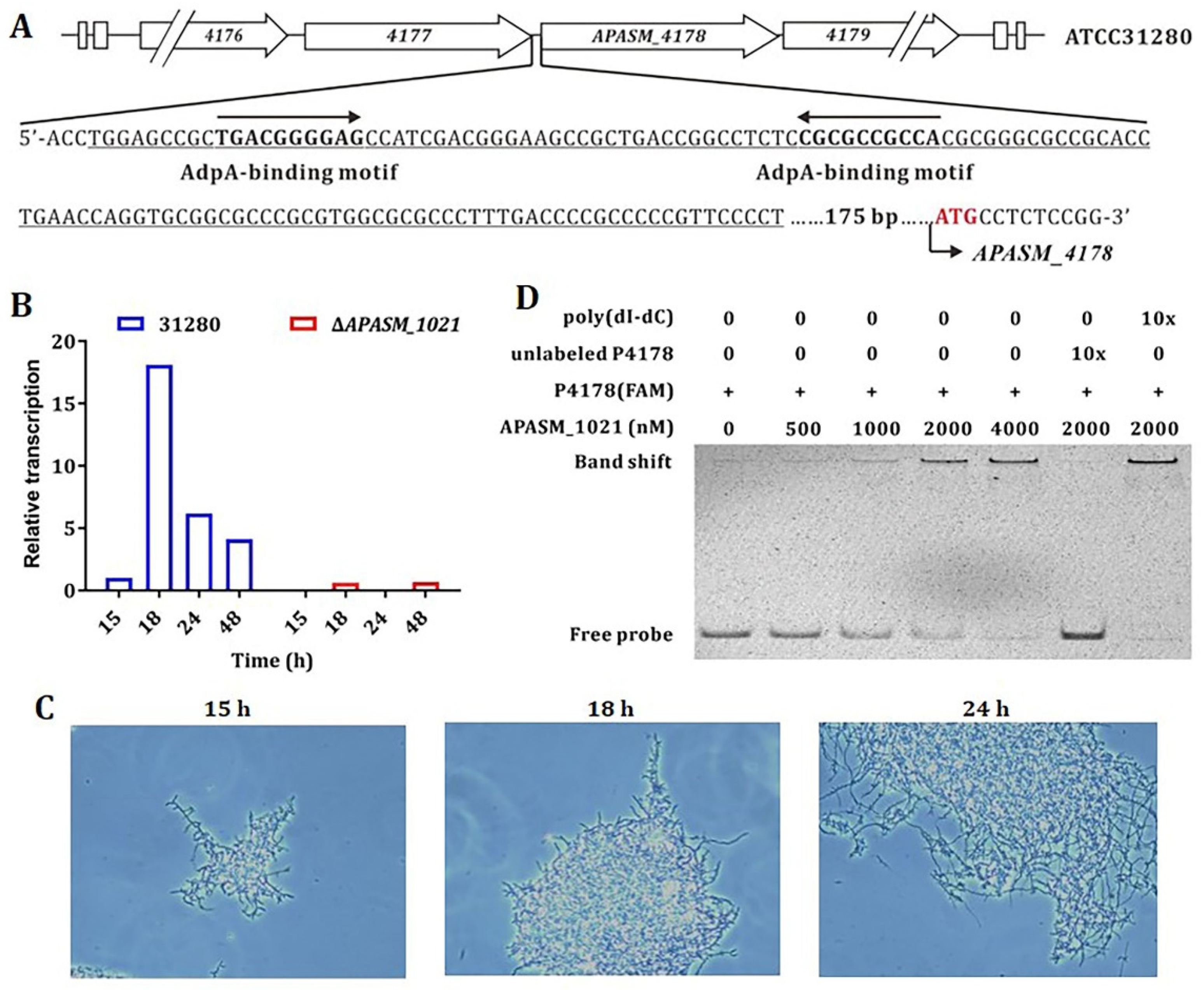 Biomolecules 10 00851 g003 Biomolecules 10 00851 g003