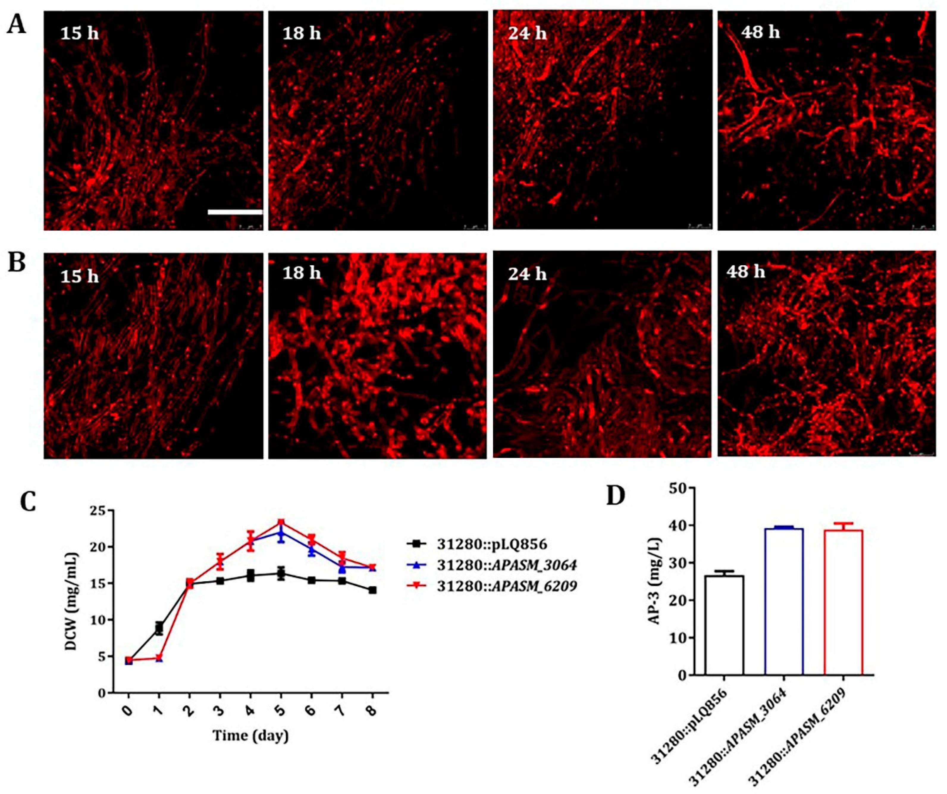 Biomolecules 10 00851 g004 Biomolecules 10 00851 g004