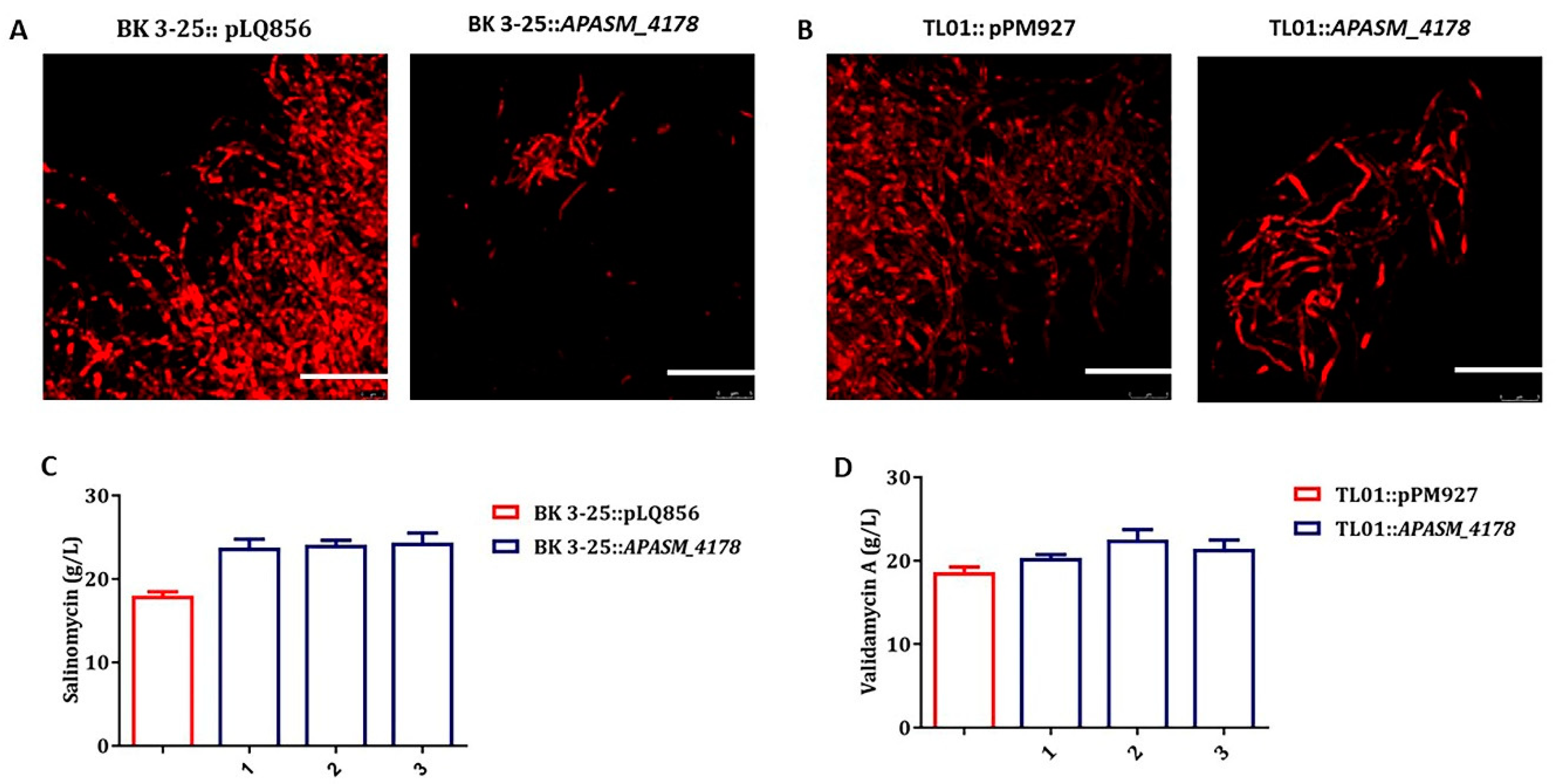 Biomolecules 10 00851 g005 Biomolecules 10 00851 g005