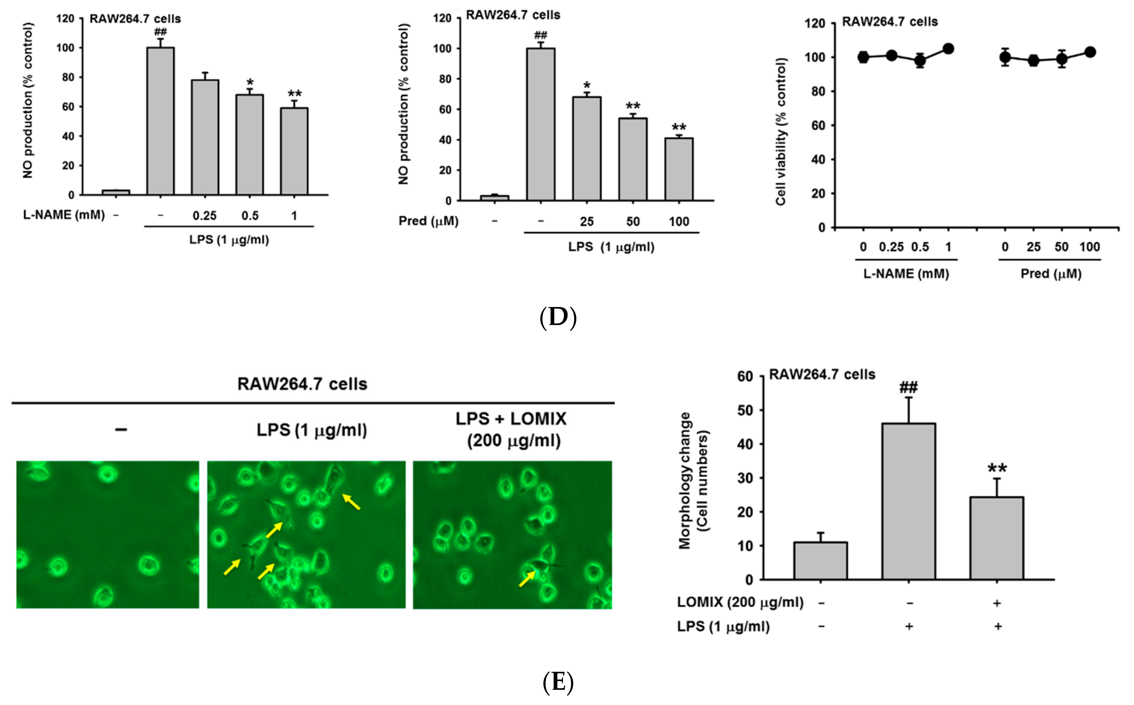 Biomolecules 10 00859 g001b