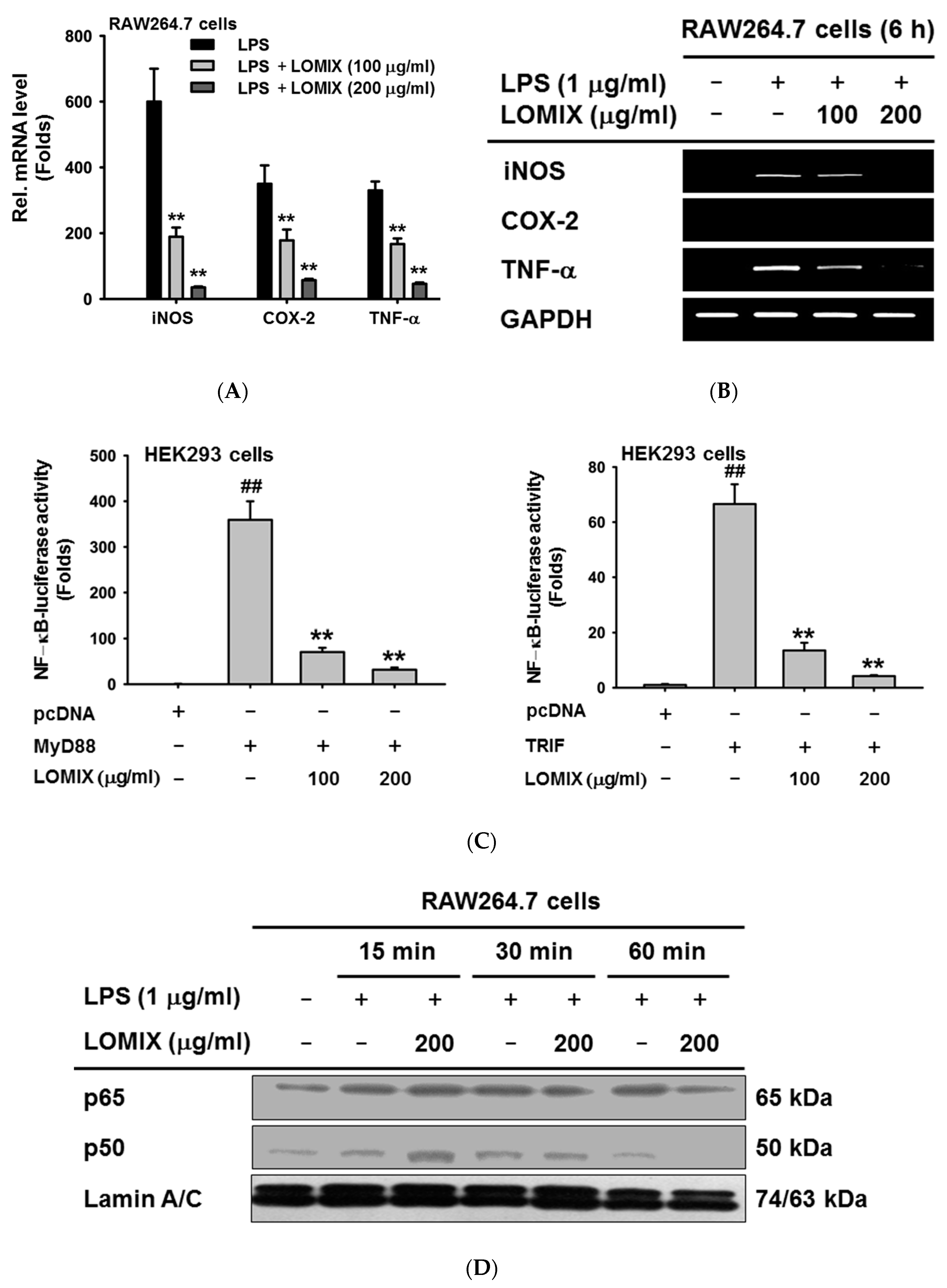Biomolecules 10 00859 g002 Biomolecules 10 00859 g002
