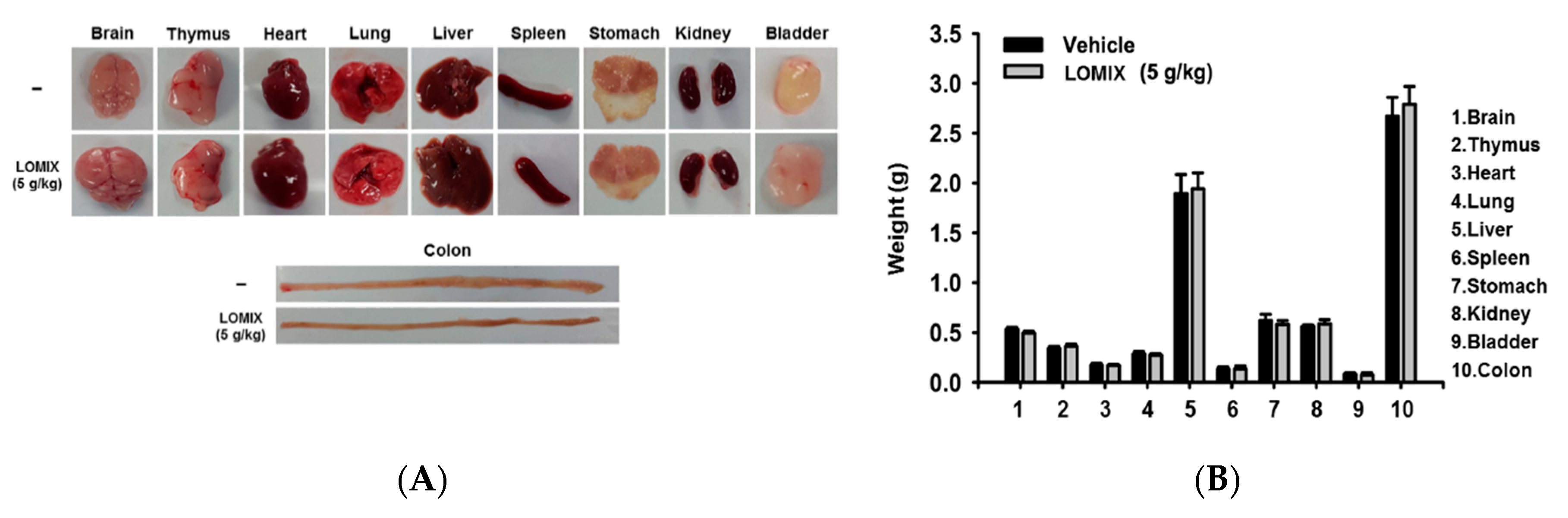 Biomolecules 10 00859 g005a Biomolecules 10 00859 g005a