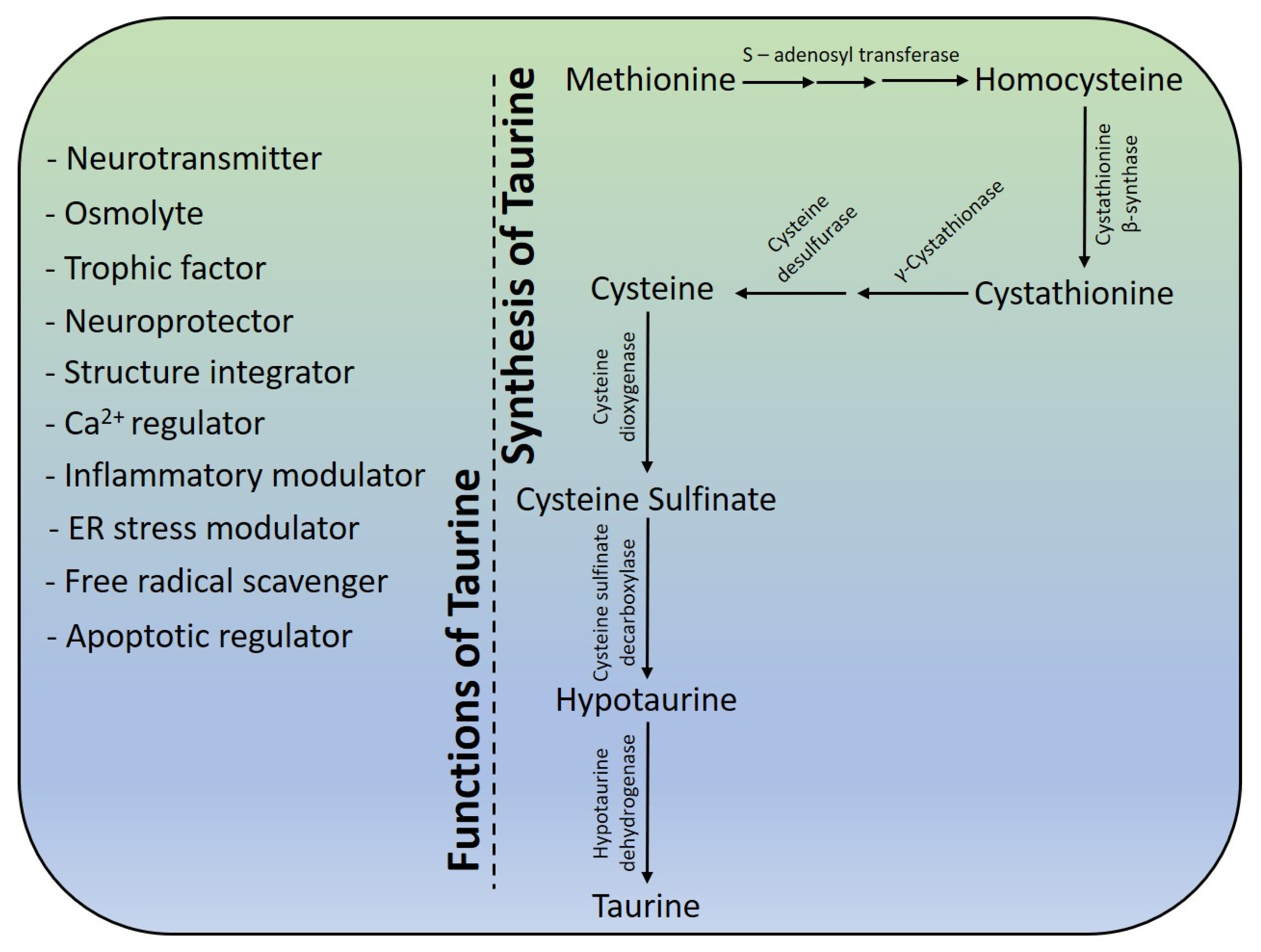 Biomolecules 10 00863 g003