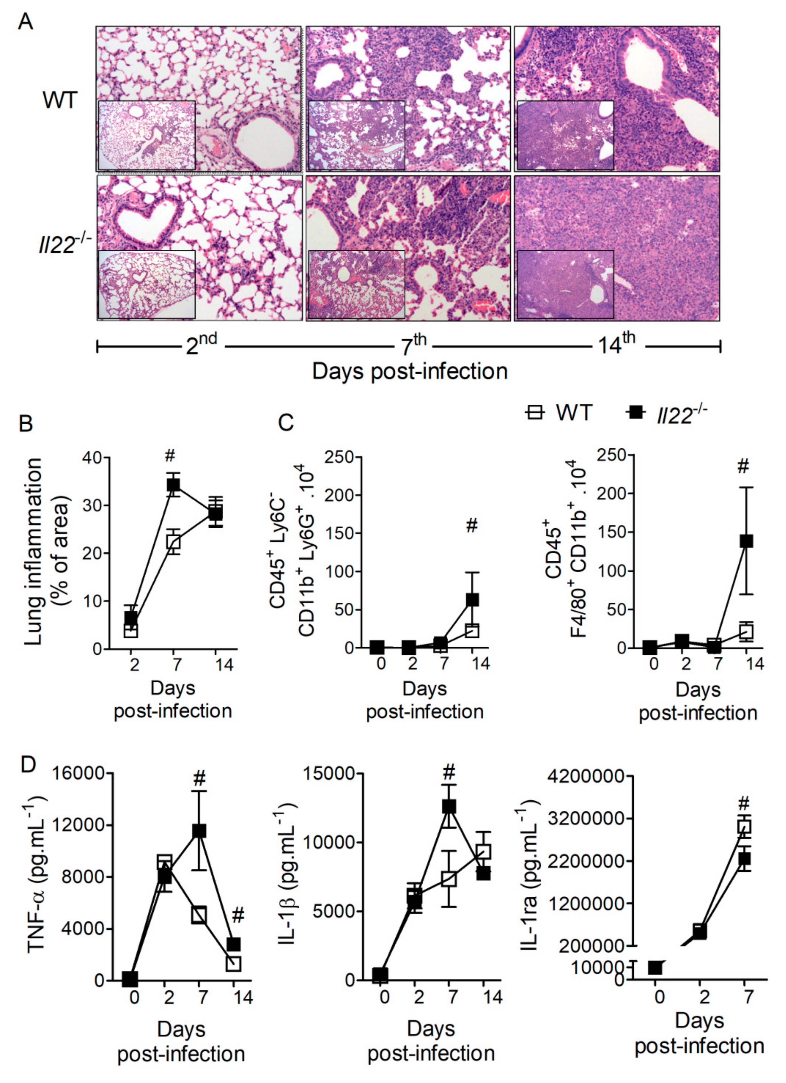 Biomolecules 10 00865 g002 Biomolecules 10 00865 g002