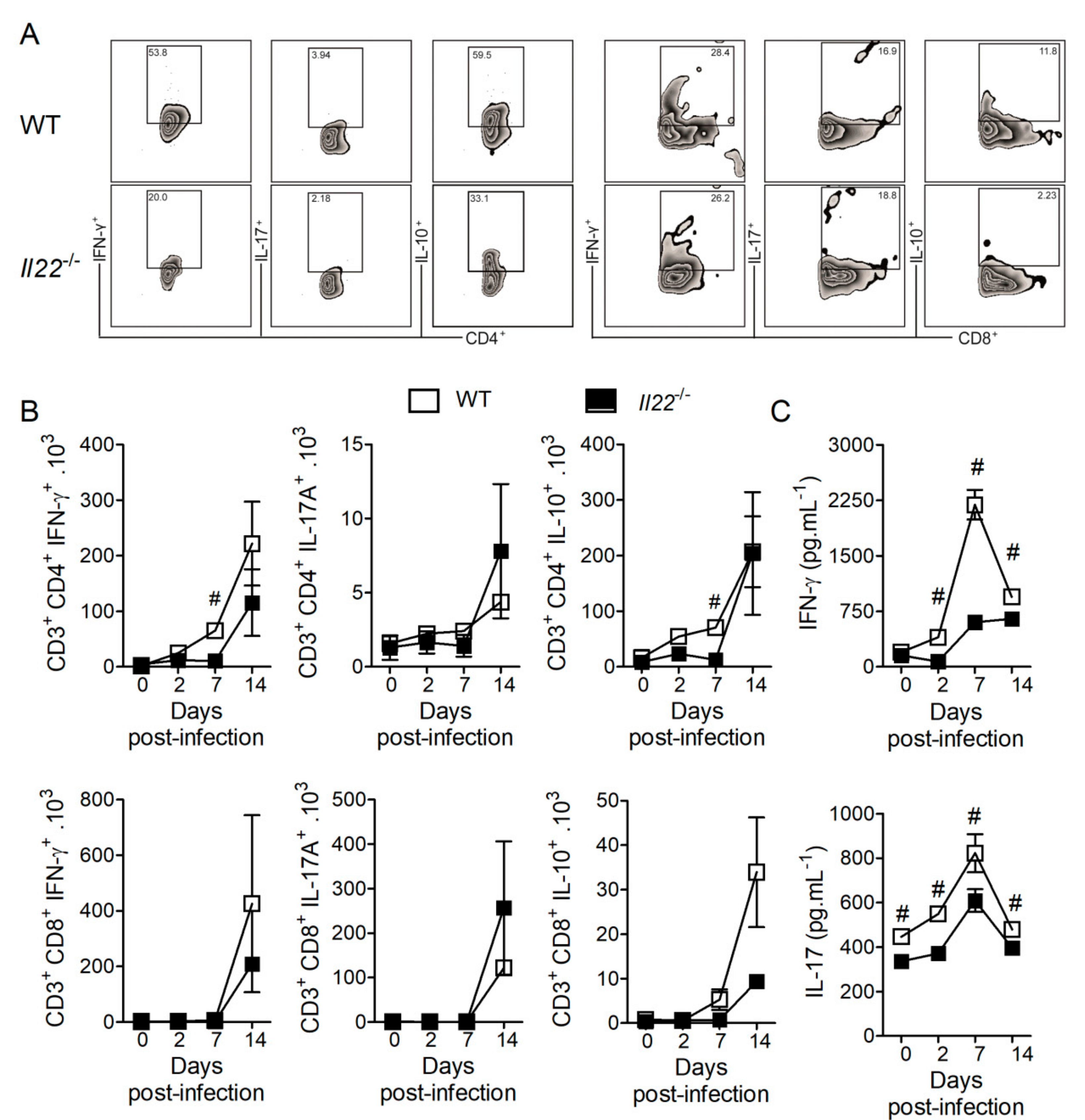 Biomolecules 10 00865 g004 Biomolecules 10 00865 g004