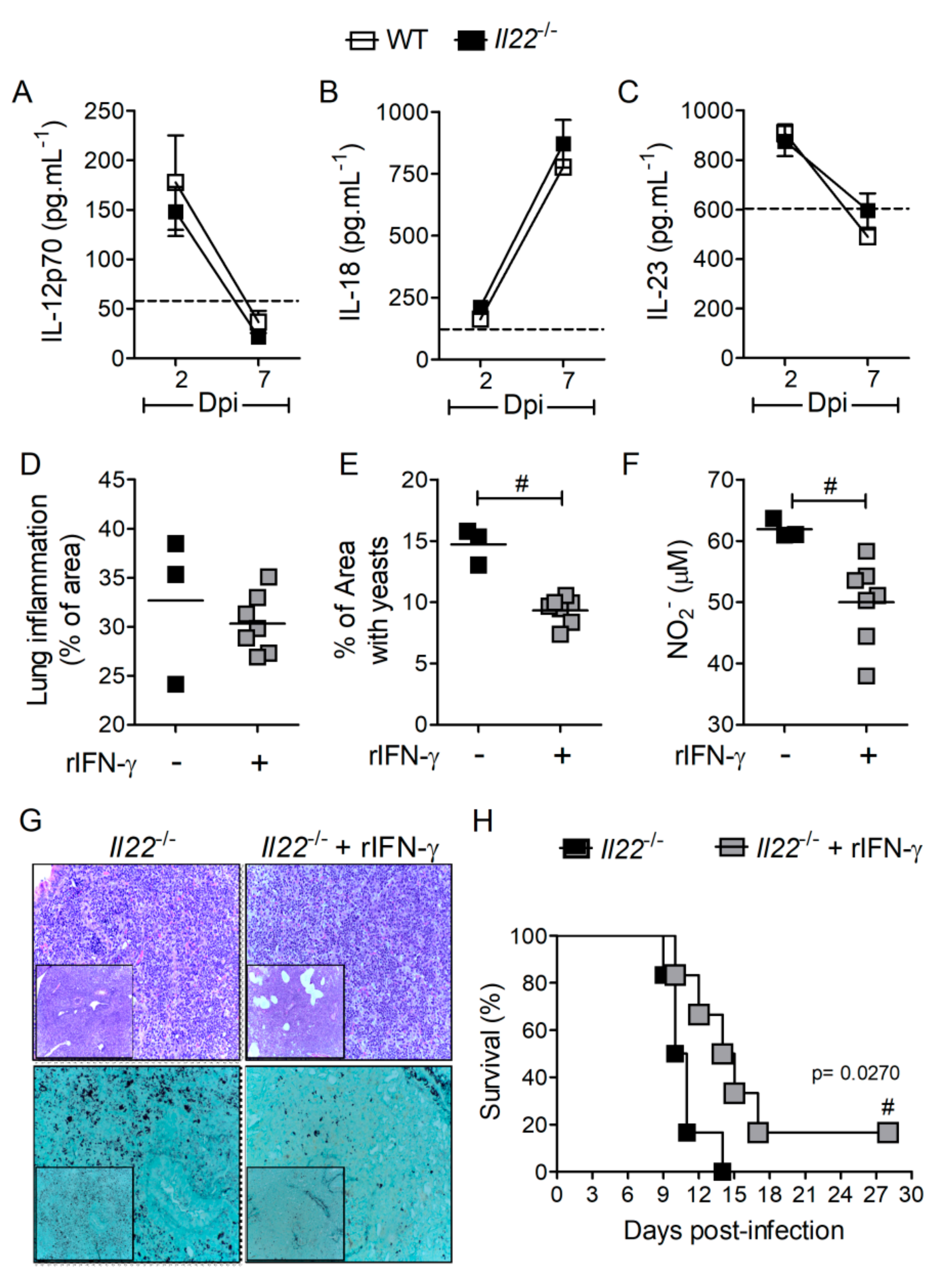Biomolecules 10 00865 g006 Biomolecules 10 00865 g006