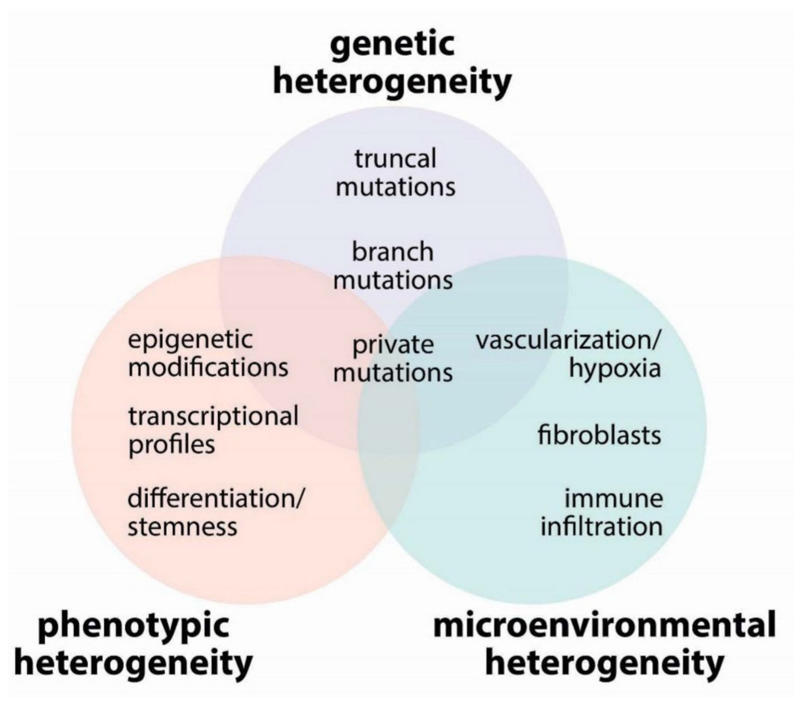 Biomolecules 10 00868 g002