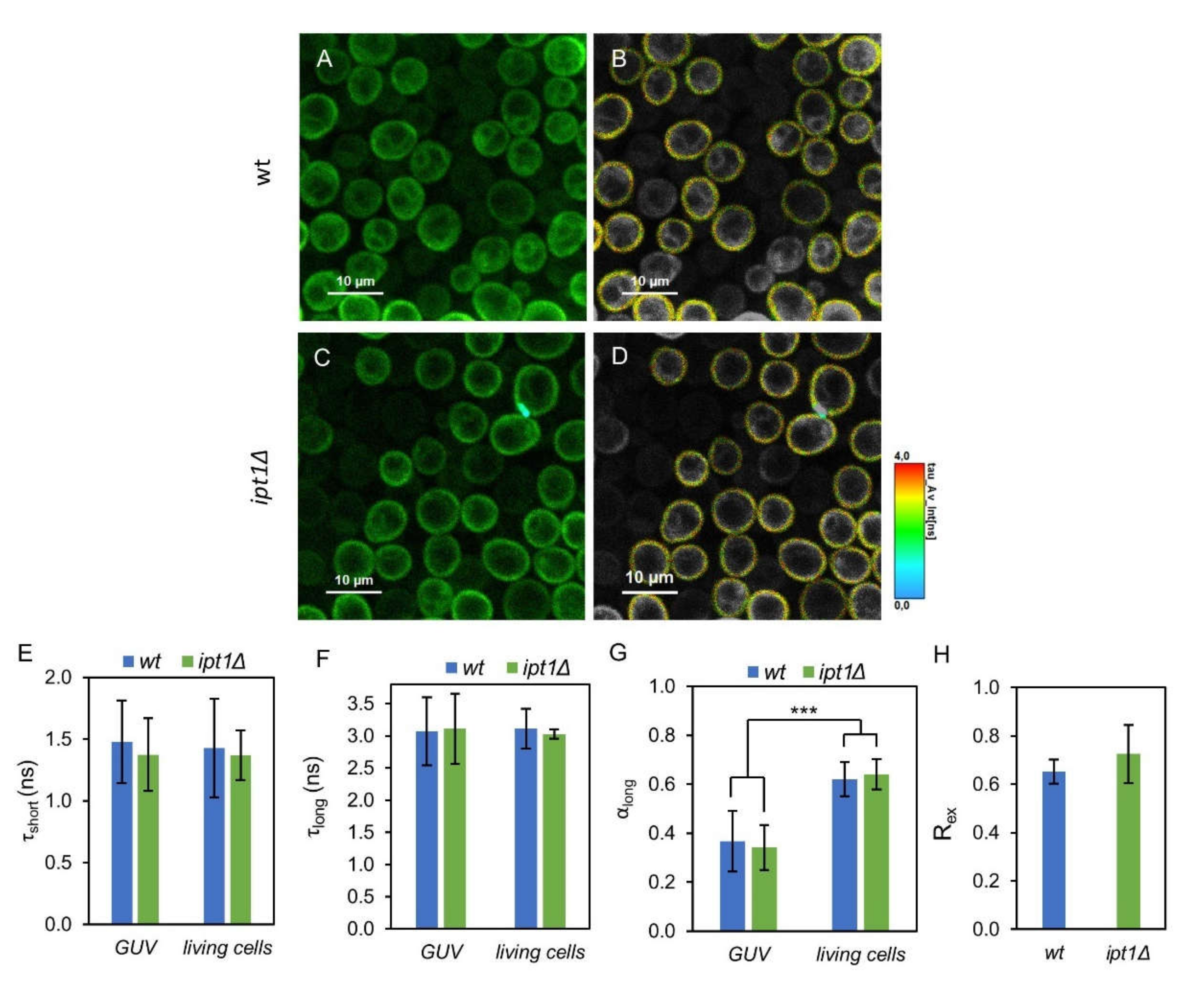Biomolecules 10 00871 g004 Biomolecules 10 00871 g004