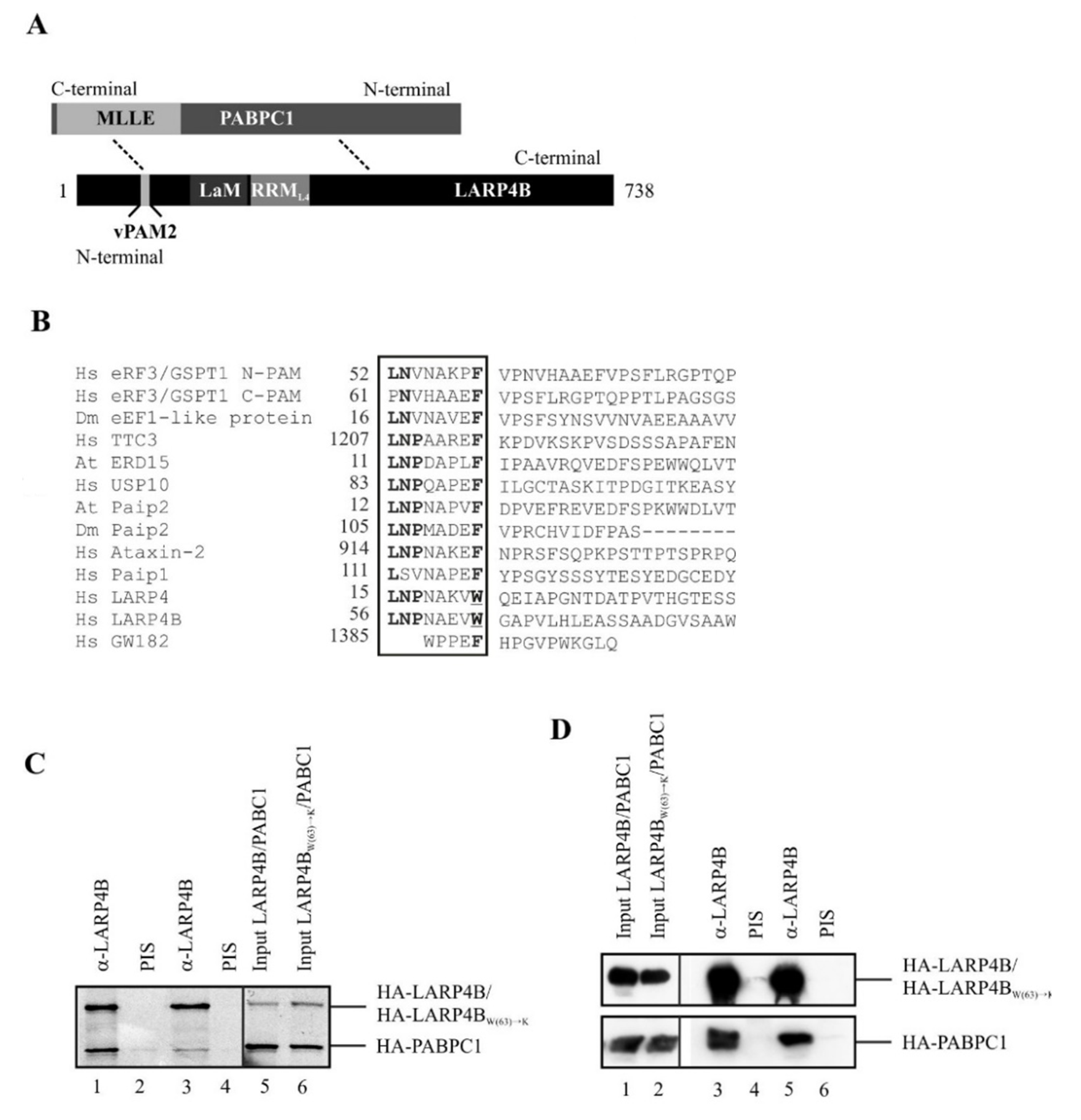 Biomolecules 10 00872 g001 Biomolecules 10 00872 g001