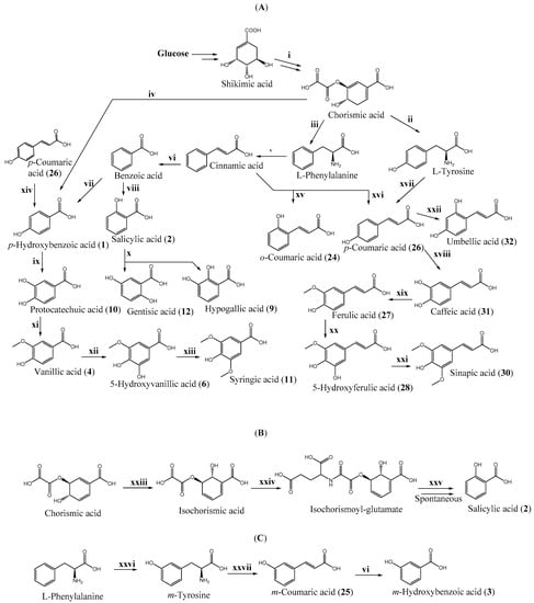Biomolecules 10 00874 g001 550