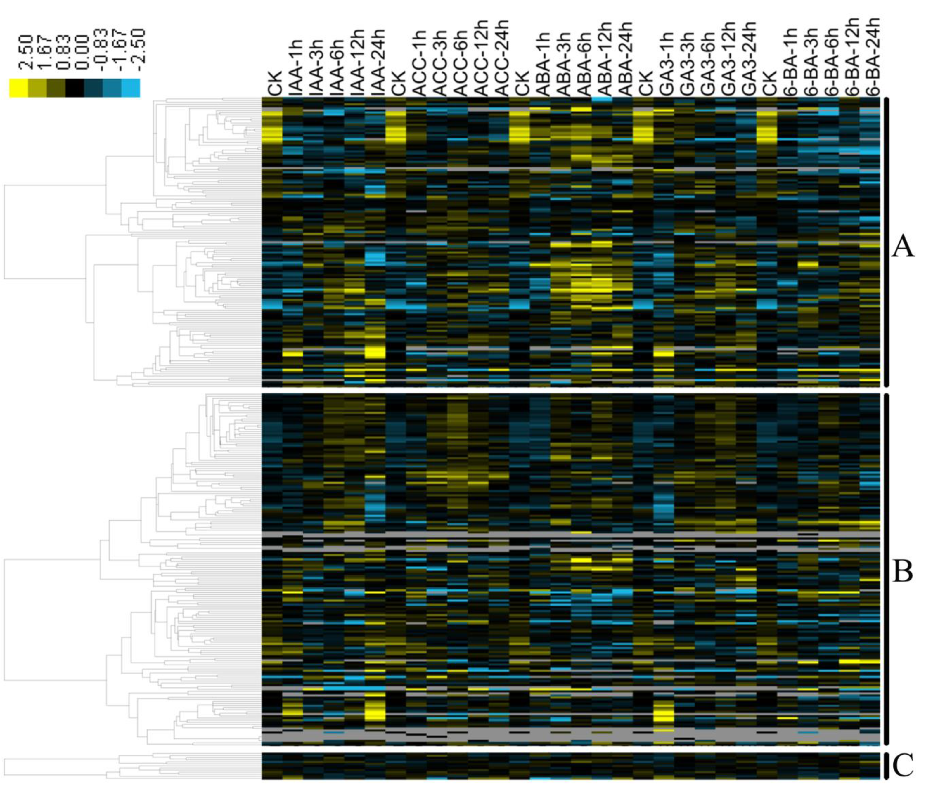 Biomolecules 10 00875 g004 Biomolecules 10 00875 g004