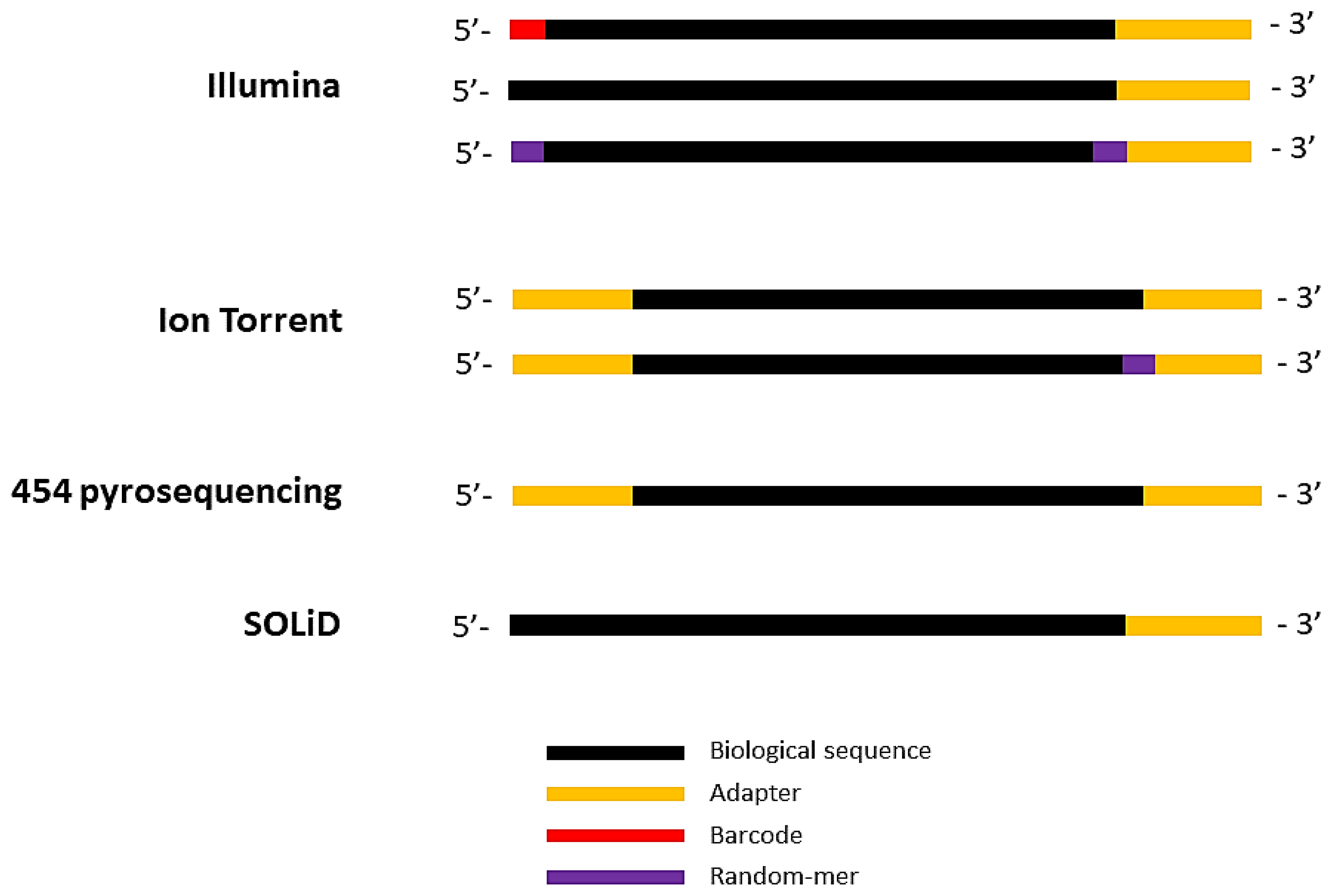 Biomolecules 10 00878 g002