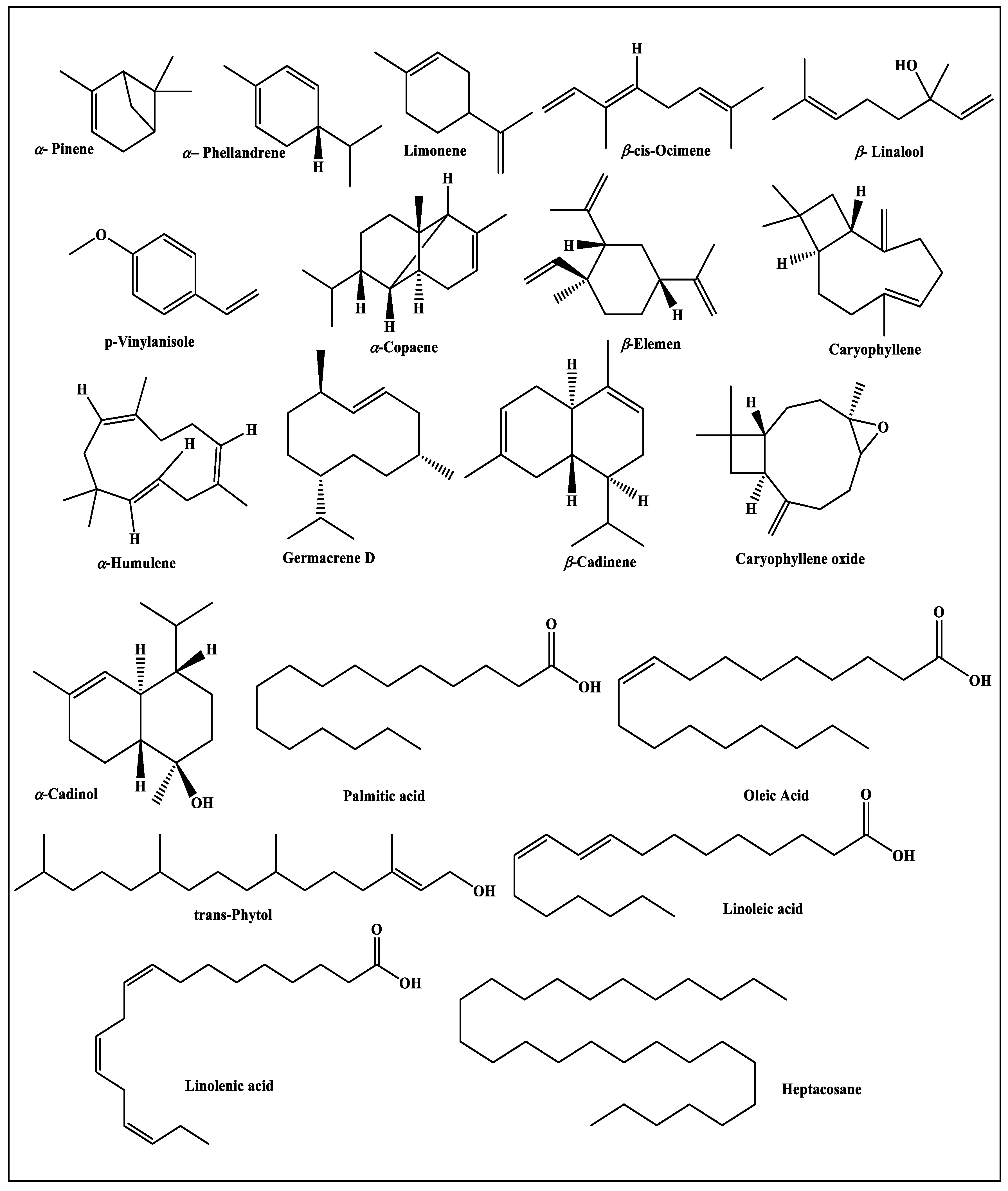 Biomolecules 10 00879 g002 Biomolecules 10 00879 g002