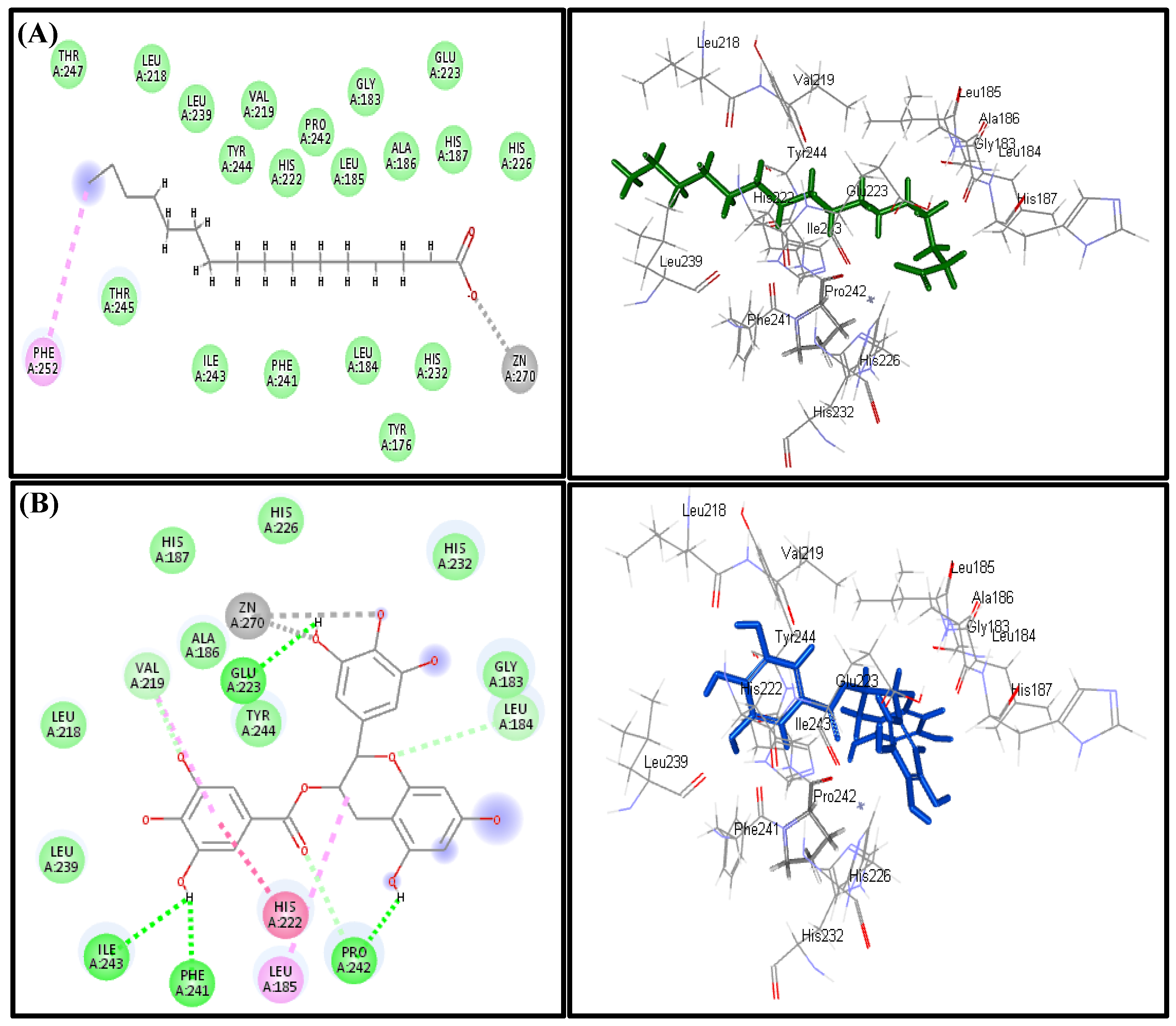 Biomolecules 10 00879 g005 Biomolecules 10 00879 g005