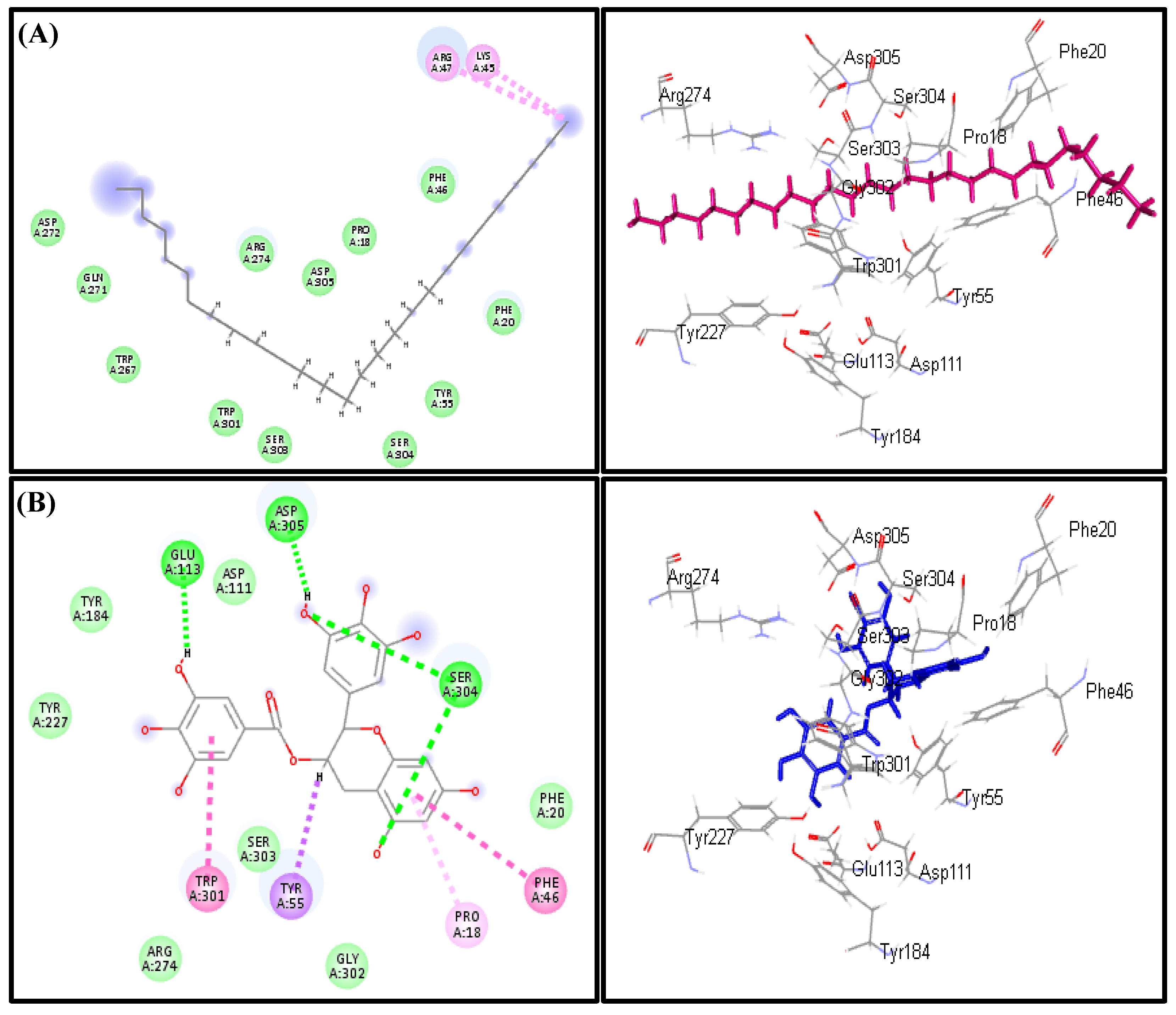 Biomolecules 10 00879 g007 Biomolecules 10 00879 g007