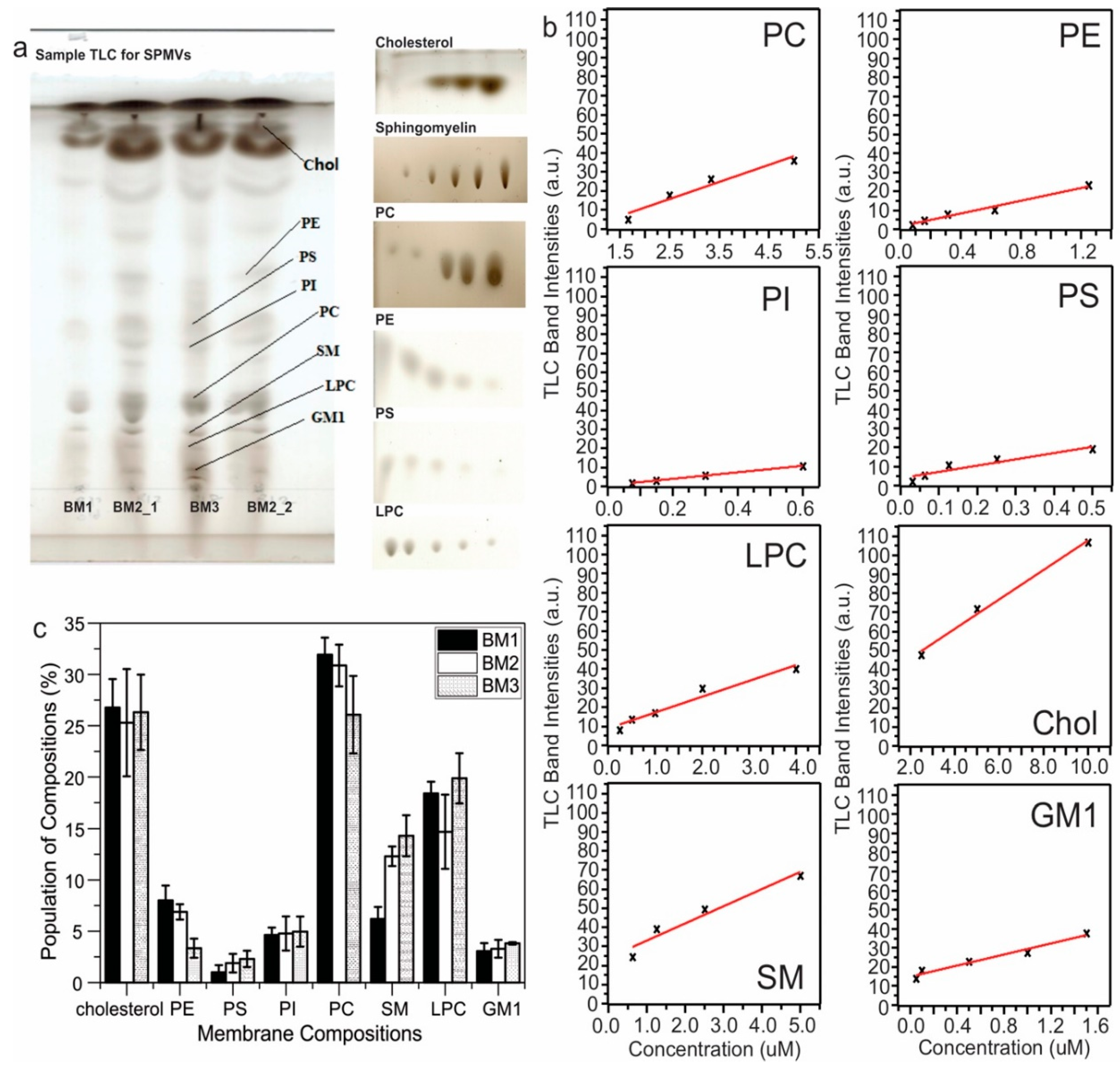 Biomolecules 10 00881 g001 Biomolecules 10 00881 g001