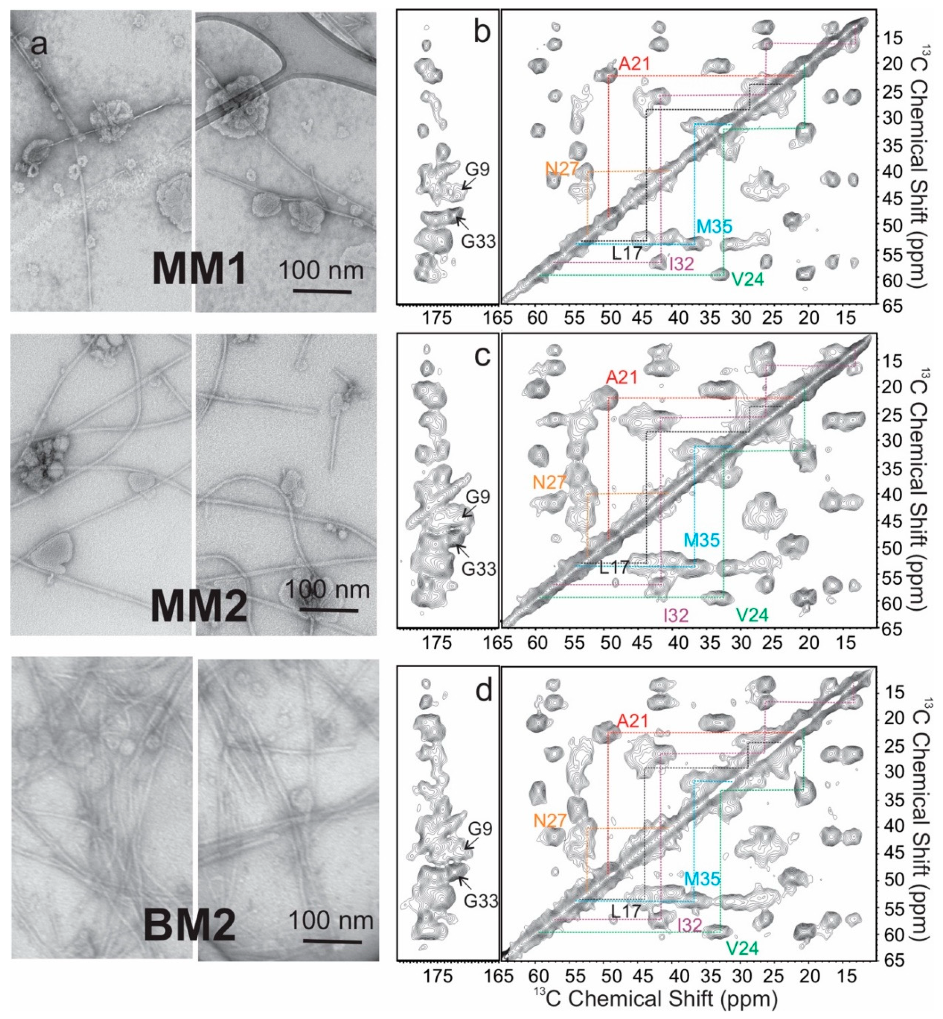 Biomolecules 10 00881 g004 Biomolecules 10 00881 g004
