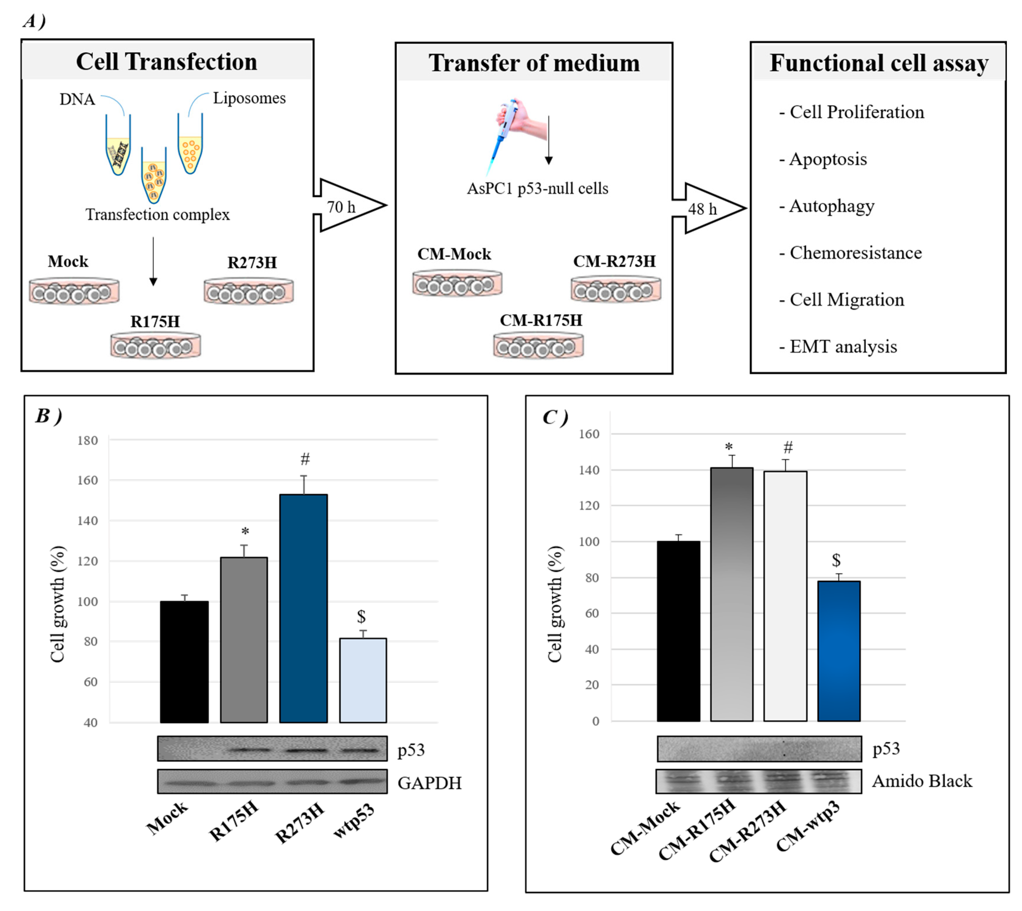 Biomolecules 10 00884 g001 Biomolecules 10 00884 g001
