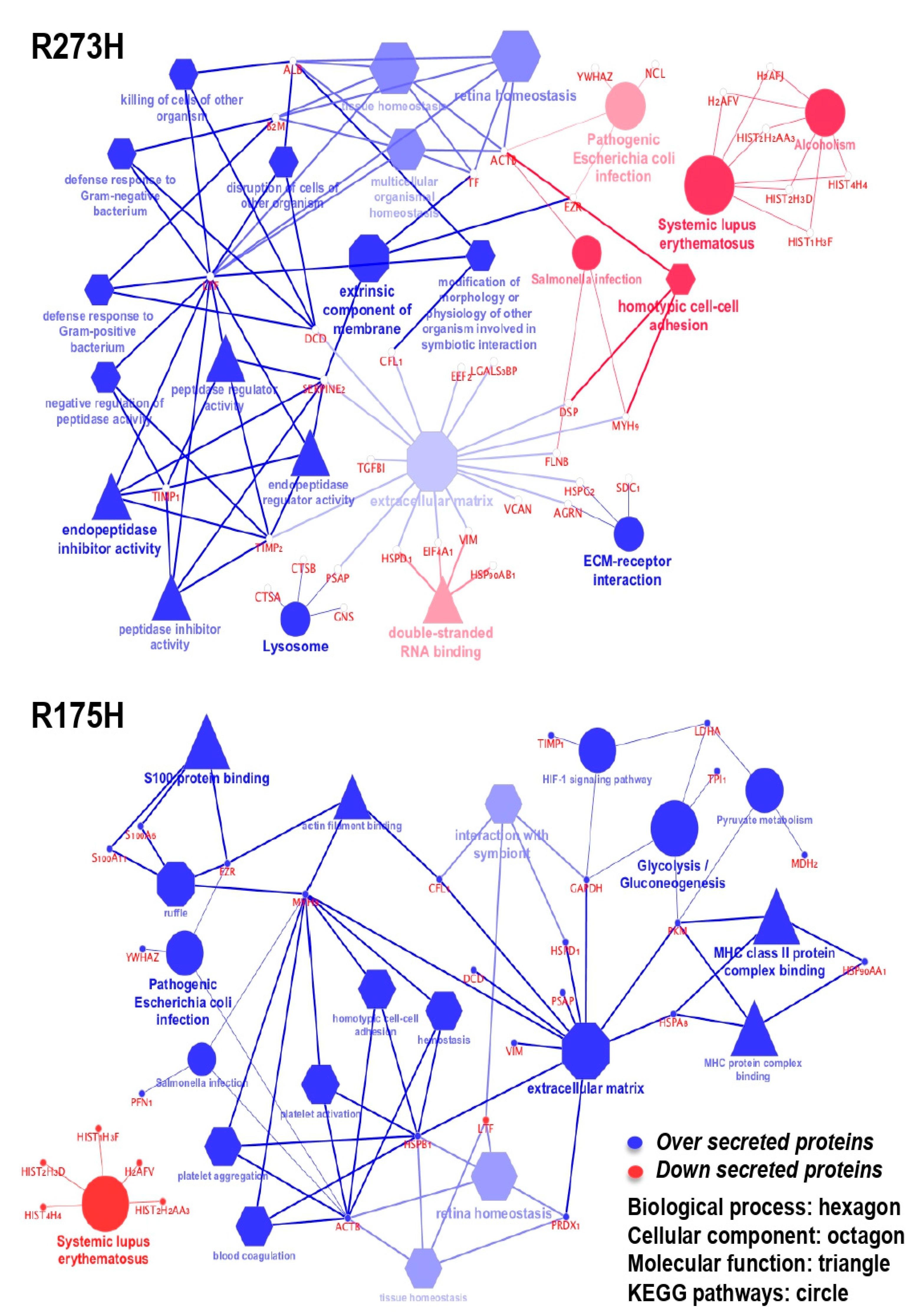 Biomolecules 10 00884 g005 Biomolecules 10 00884 g005