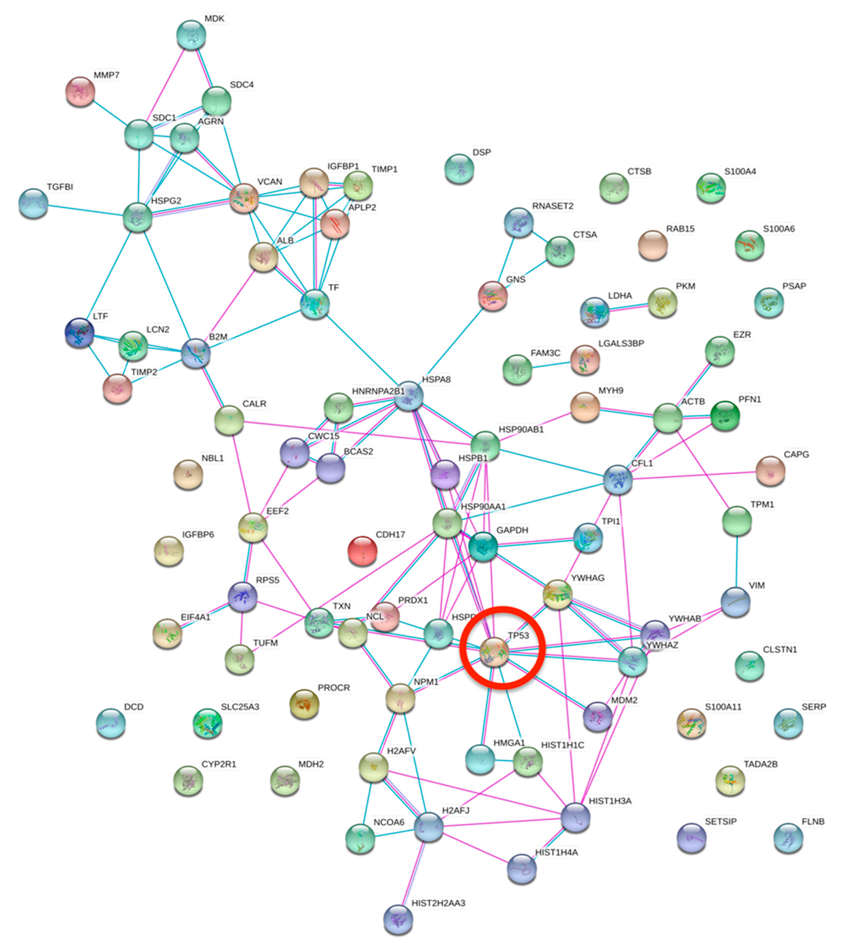 Biomolecules 10 00884 g006 Biomolecules 10 00884 g006