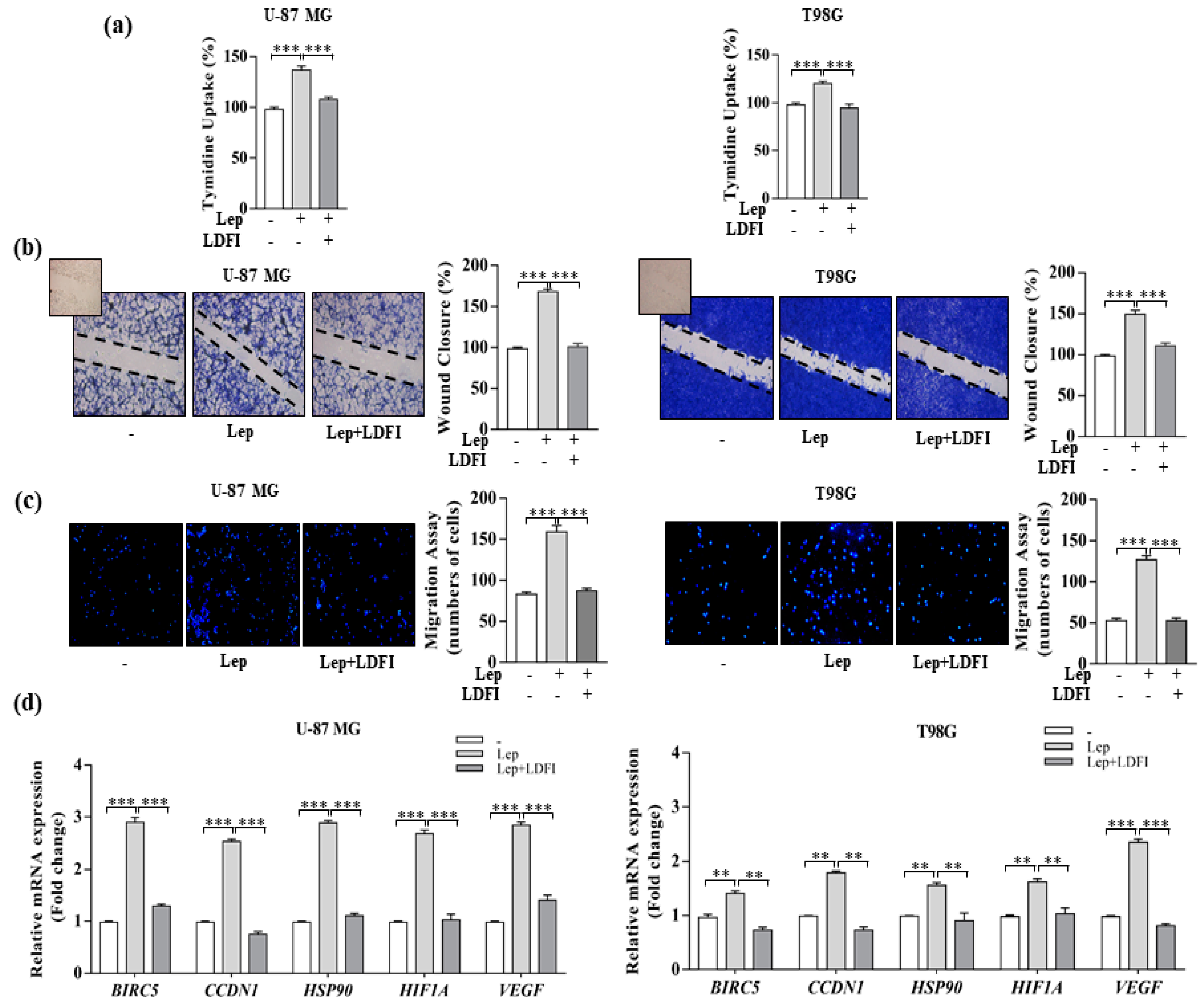 Biomolecules 10 00886 g002 Biomolecules 10 00886 g002
