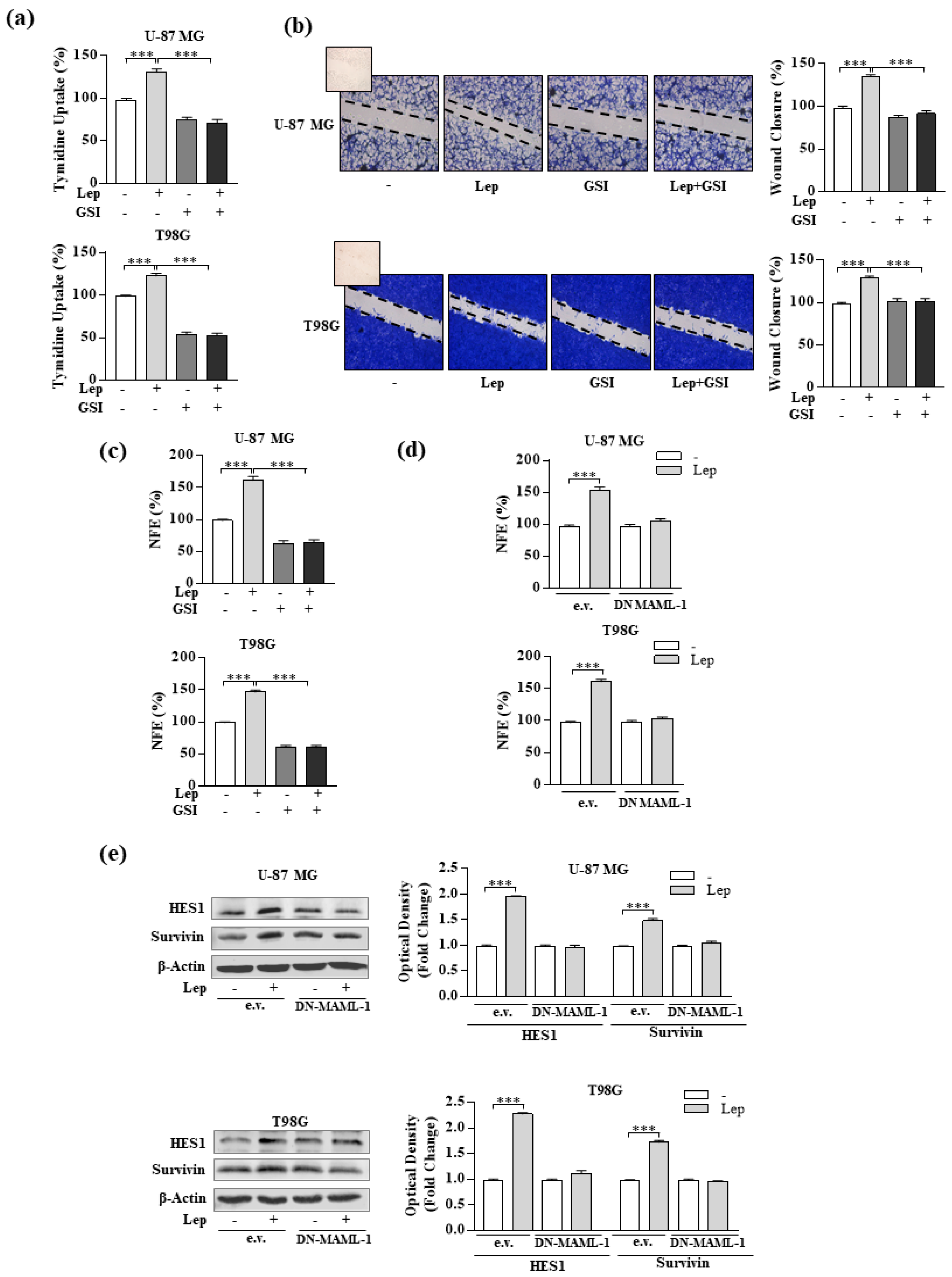 Biomolecules 10 00886 g006 Biomolecules 10 00886 g006