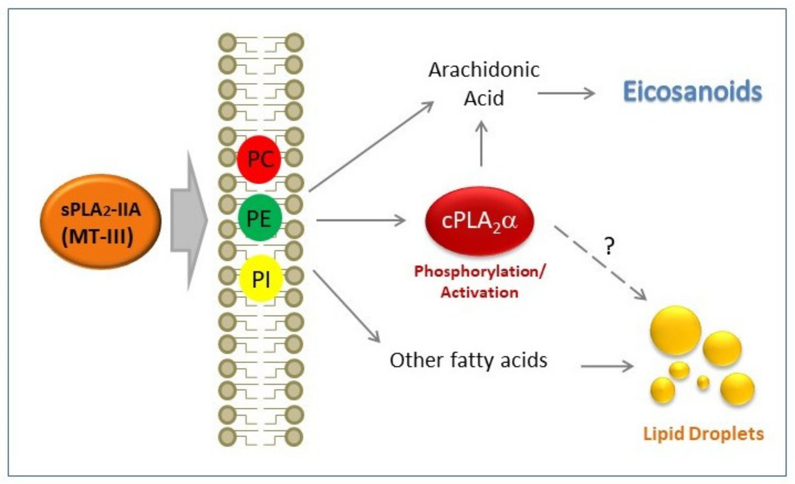 Biomolecules 10 00891 sch001