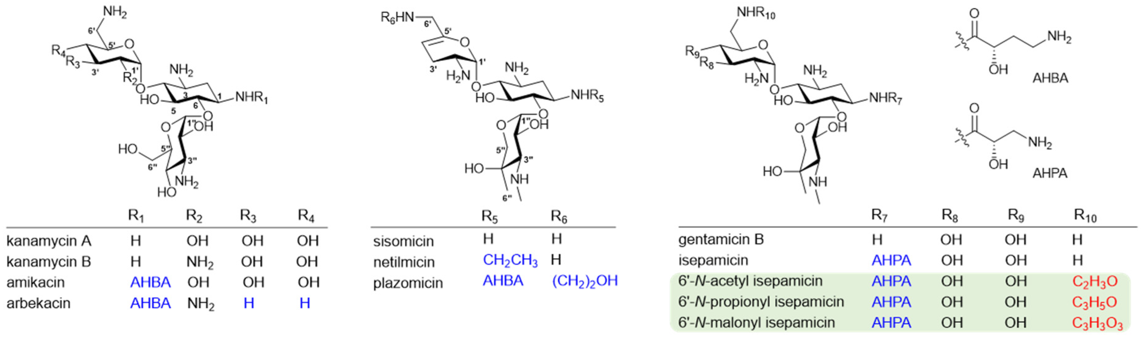 Biomolecules 10 00893 g001