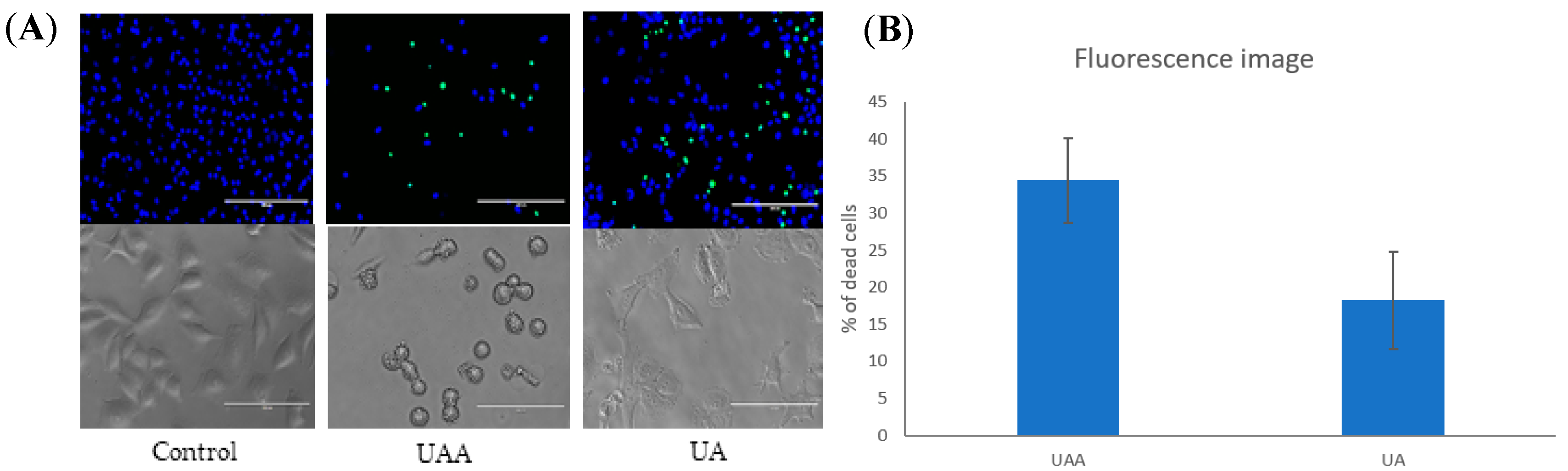 Biomolecules 10 00894 g005 Biomolecules 10 00894 g005