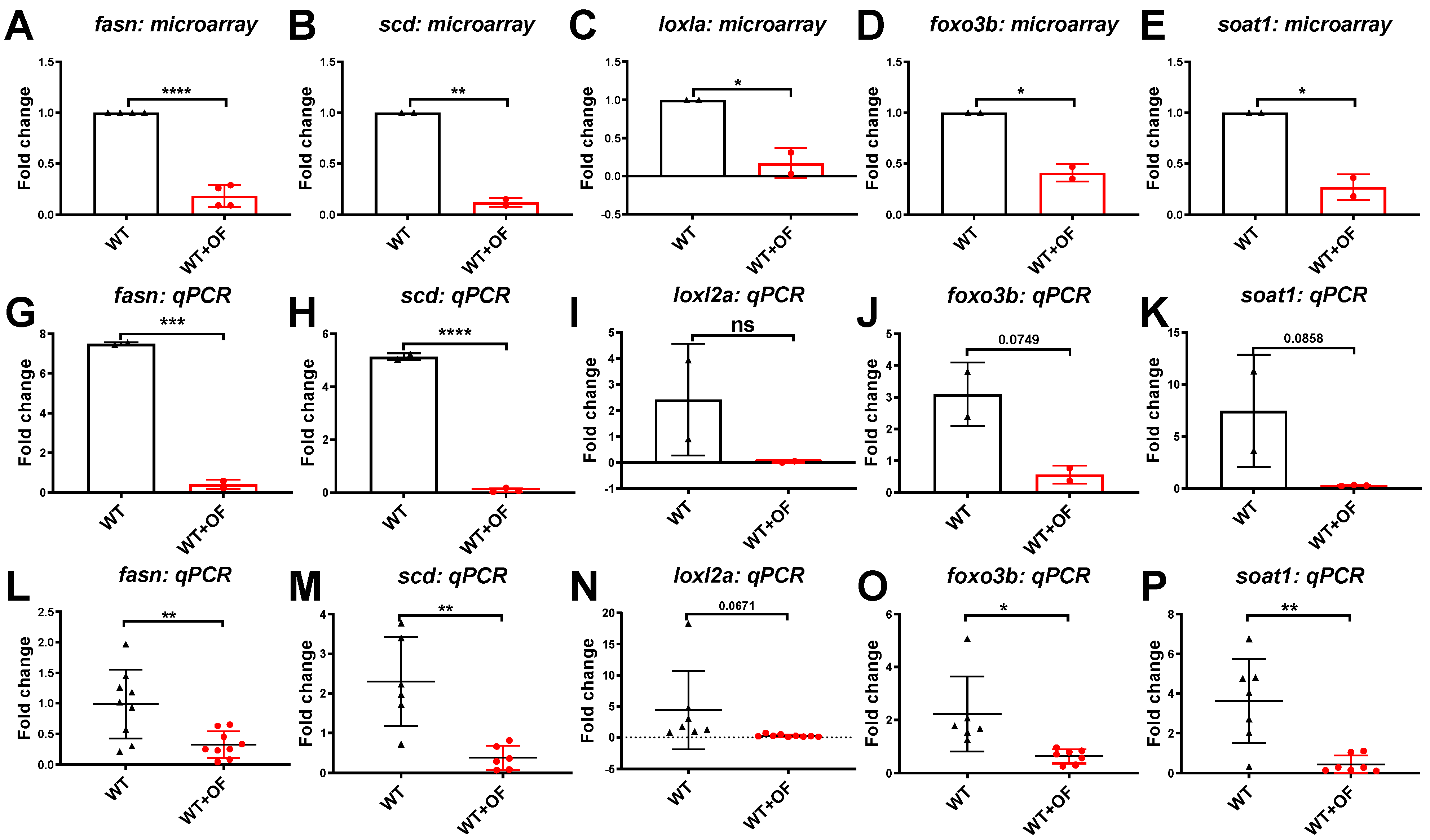 Biomolecules 10 00898 g004