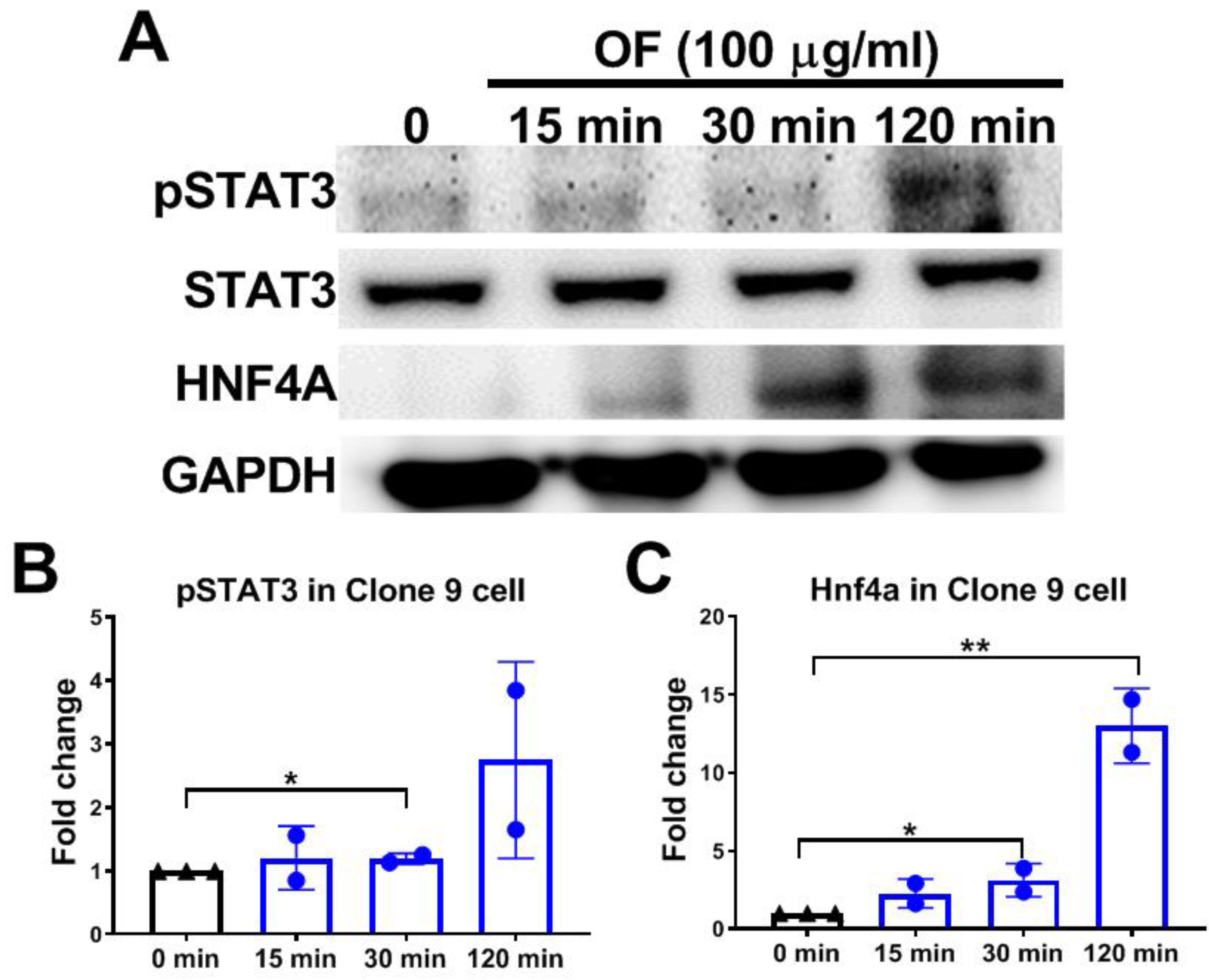 Biomolecules 10 00898 g007