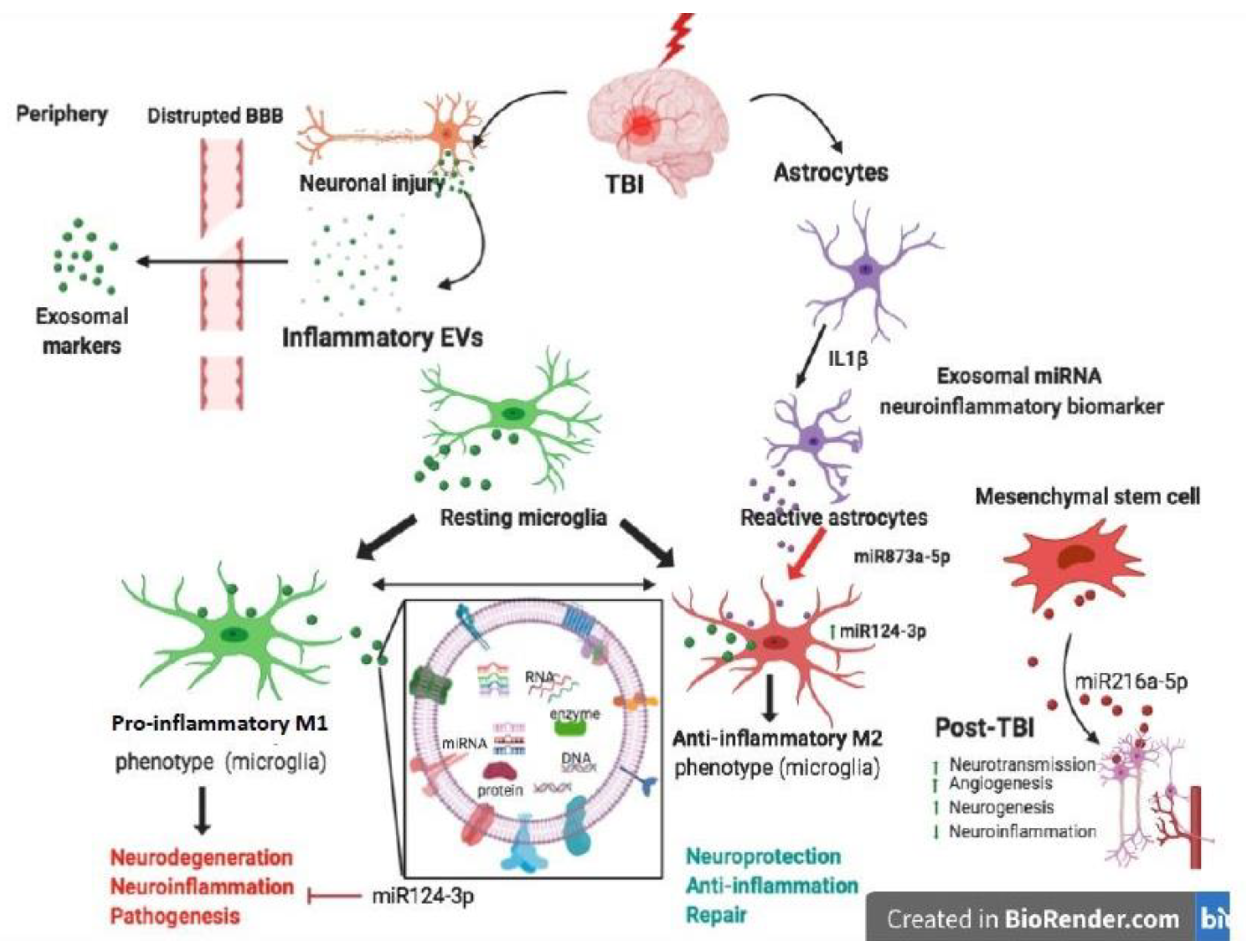 Biomolecules 10 00901 g002 Biomolecules 10 00901 g002