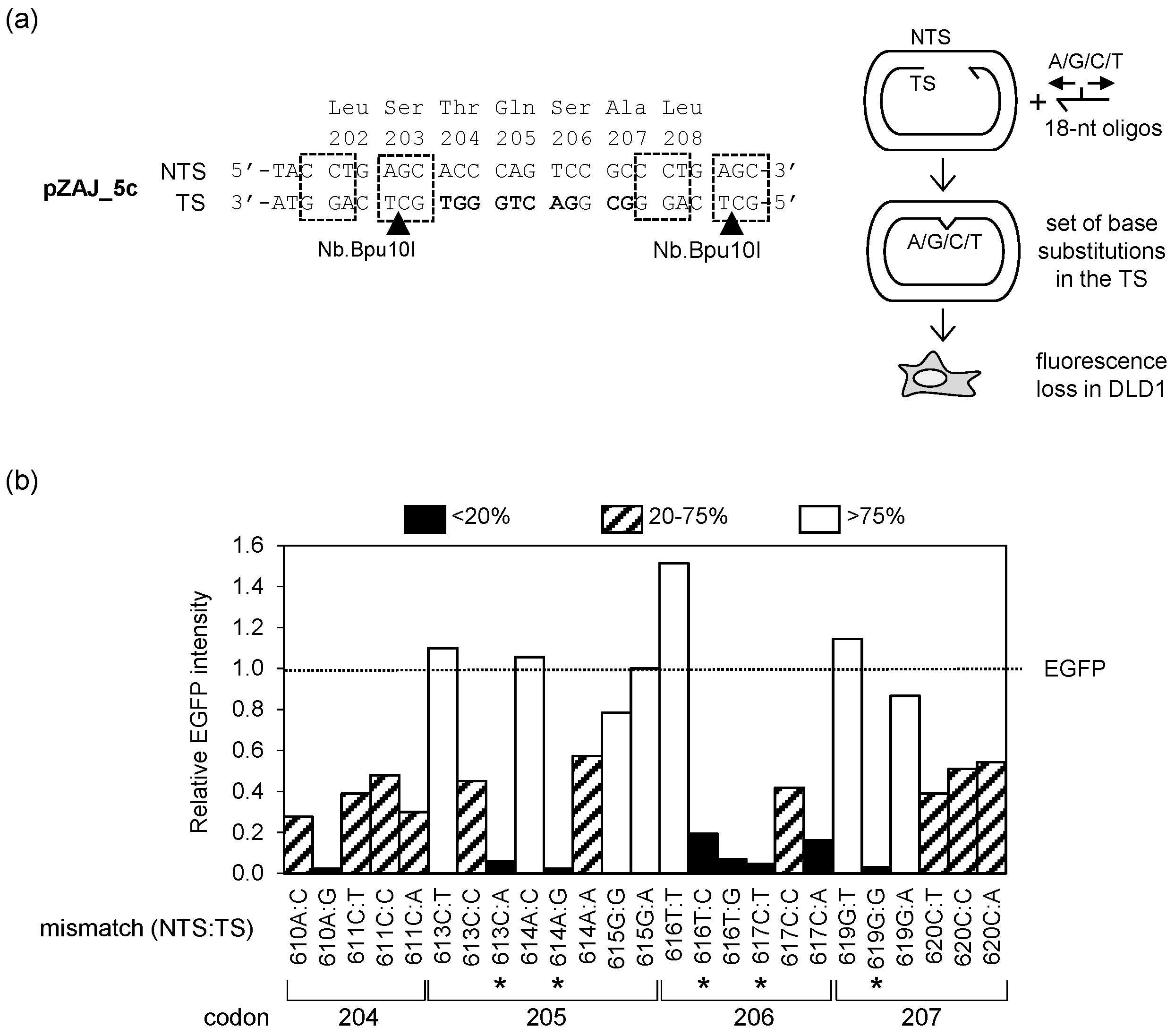 Biomolecules 10 00902 g002 Biomolecules 10 00902 g002