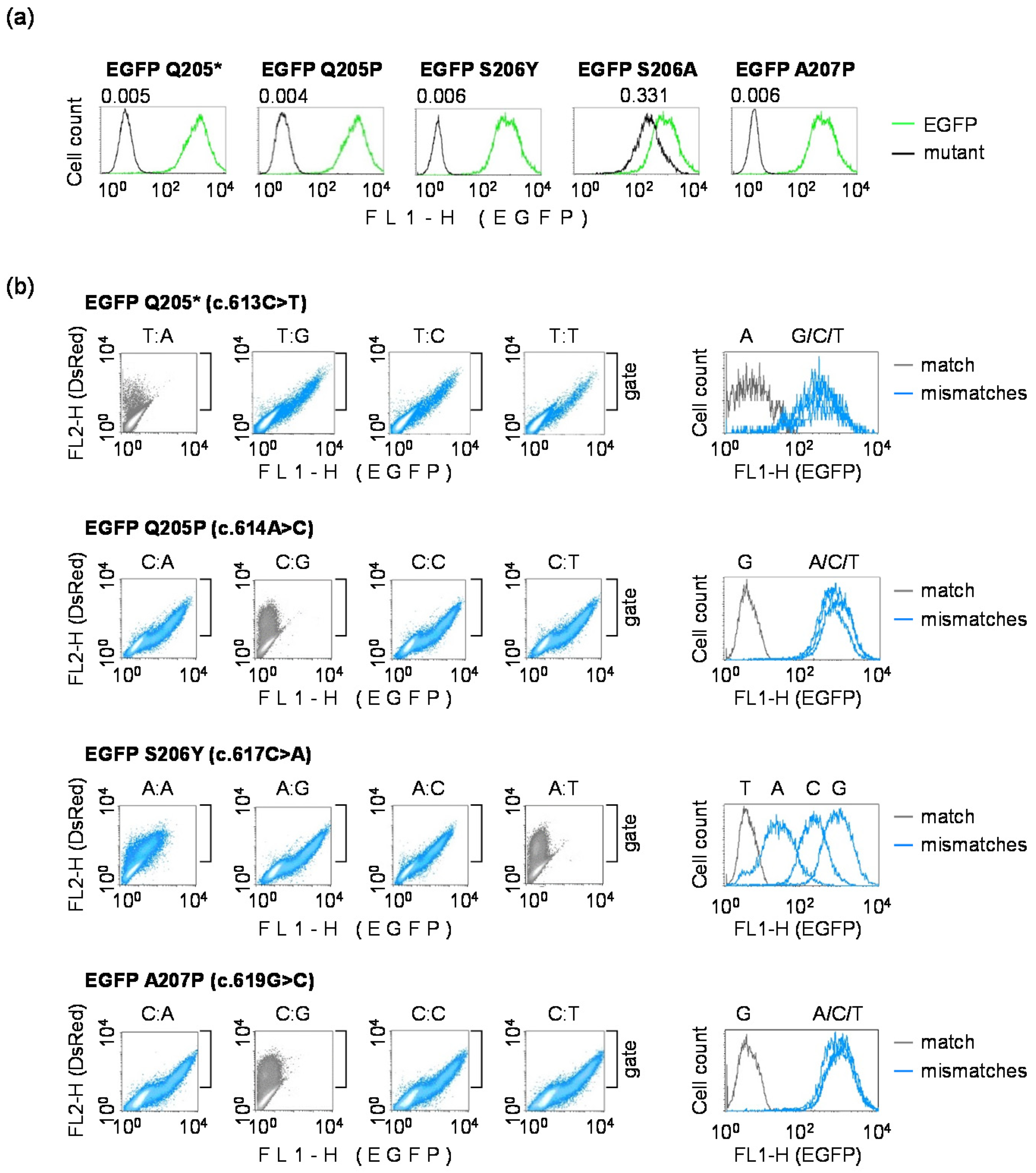 Biomolecules 10 00902 g003 Biomolecules 10 00902 g003
