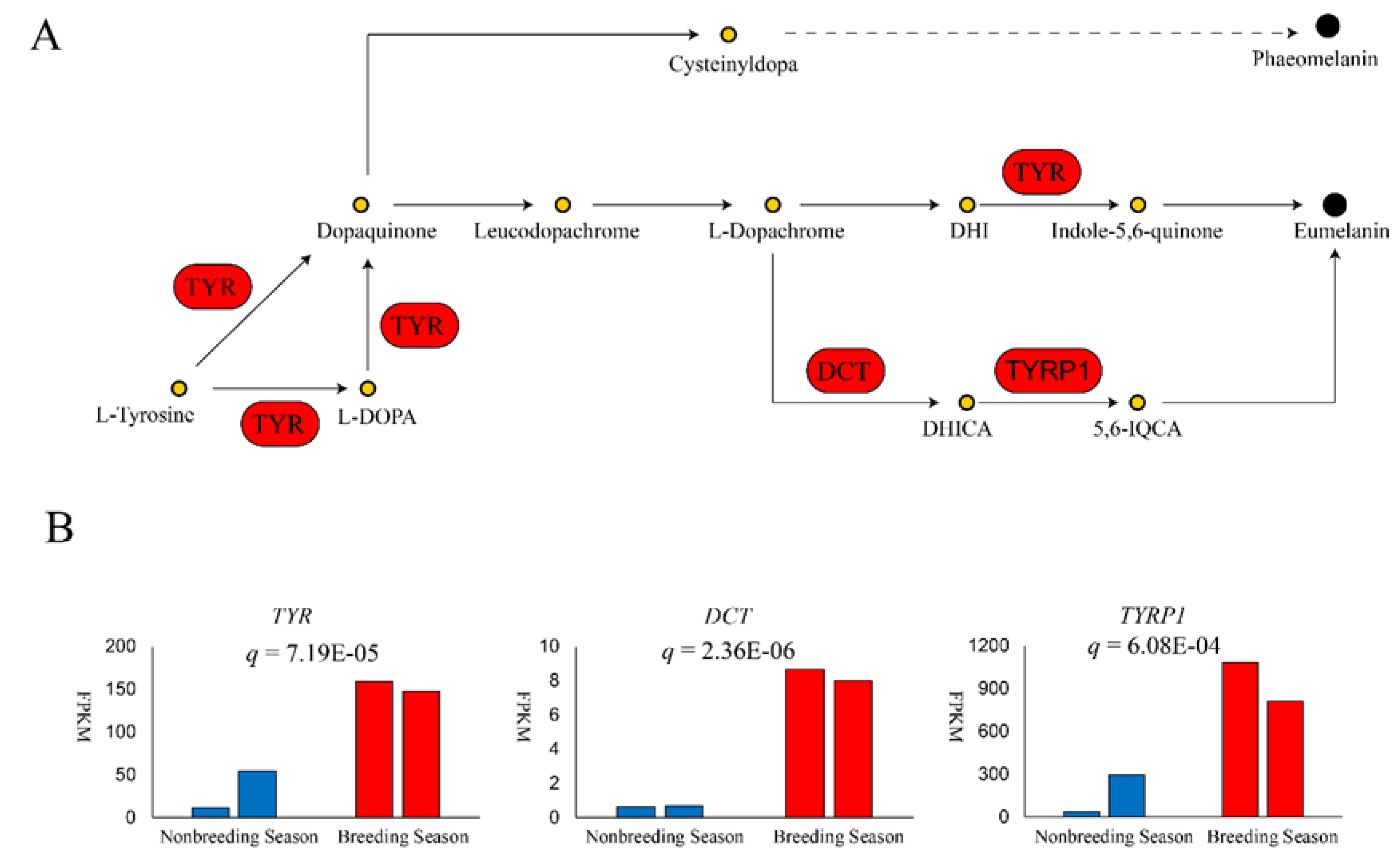 Biomolecules 10 00905 g003 Biomolecules 10 00905 g003